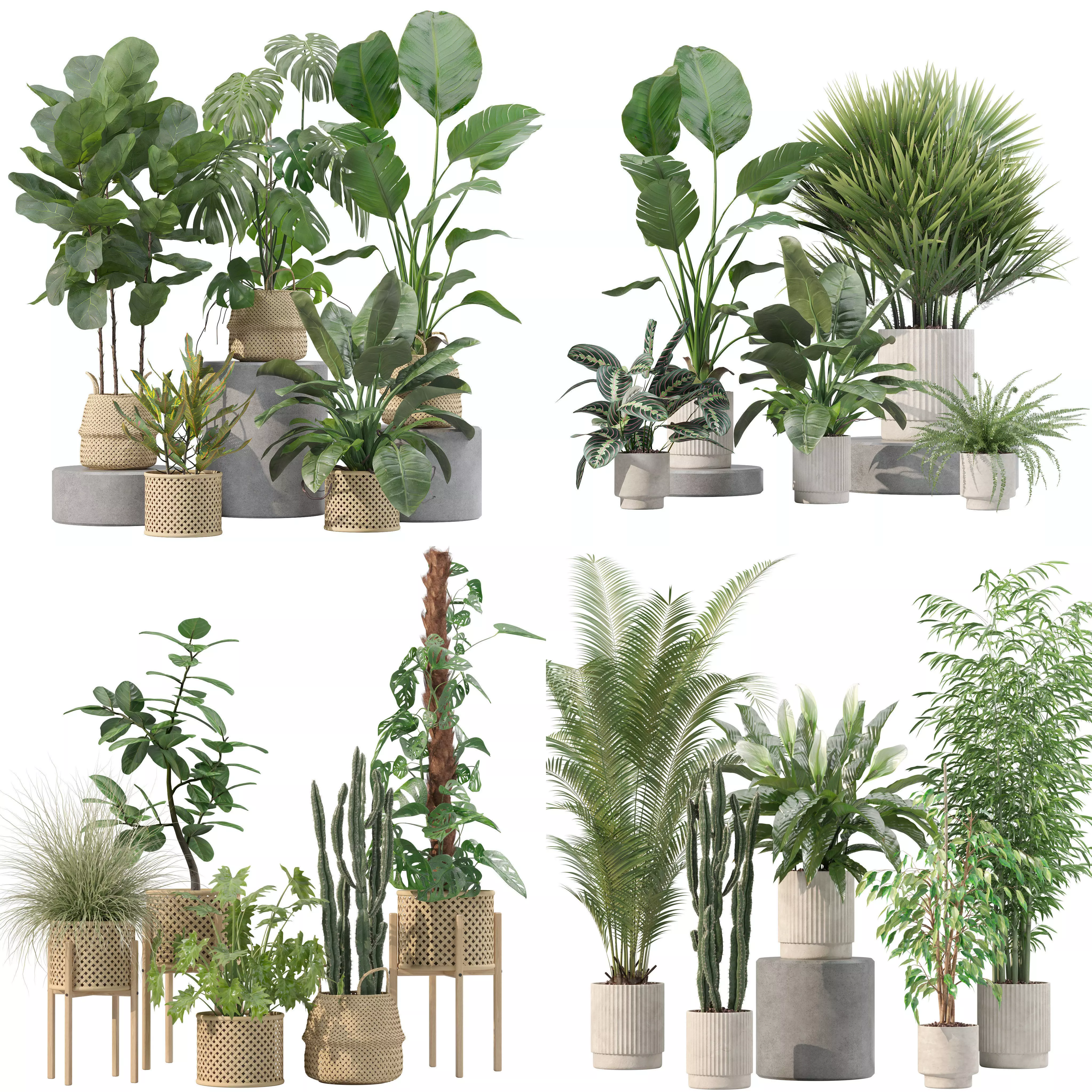 20 Photorealistic Flowers for Interiors - set 203 205 207 209 3D Model Collection_0