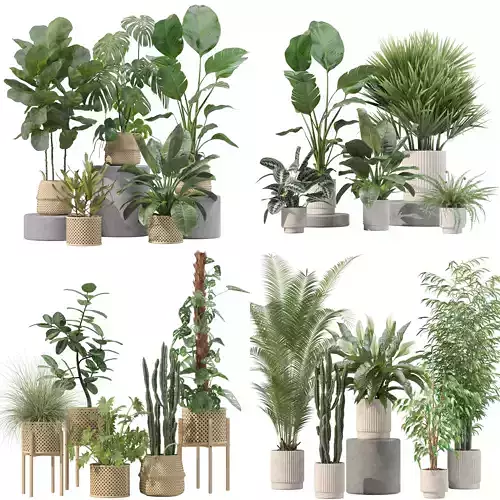 20 Photorealistic Flowers for Interiors - set 203 205 207 209 3D Model Collection