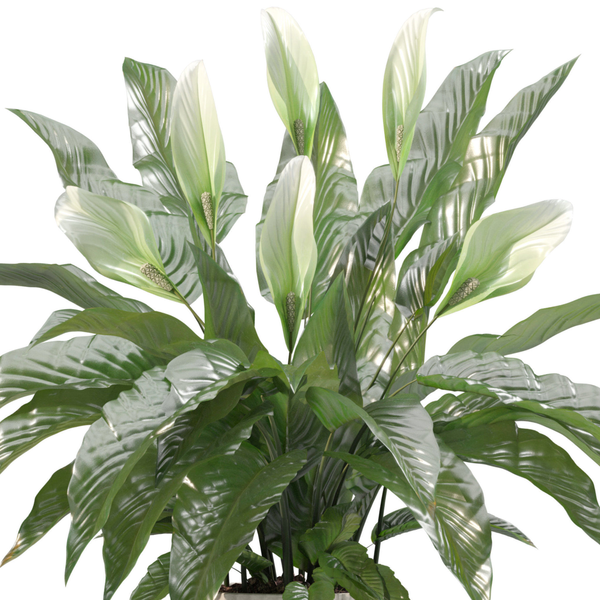 20 Photorealistic Flowers for Interiors - set 203 205 207 209 3D Model Collection_22