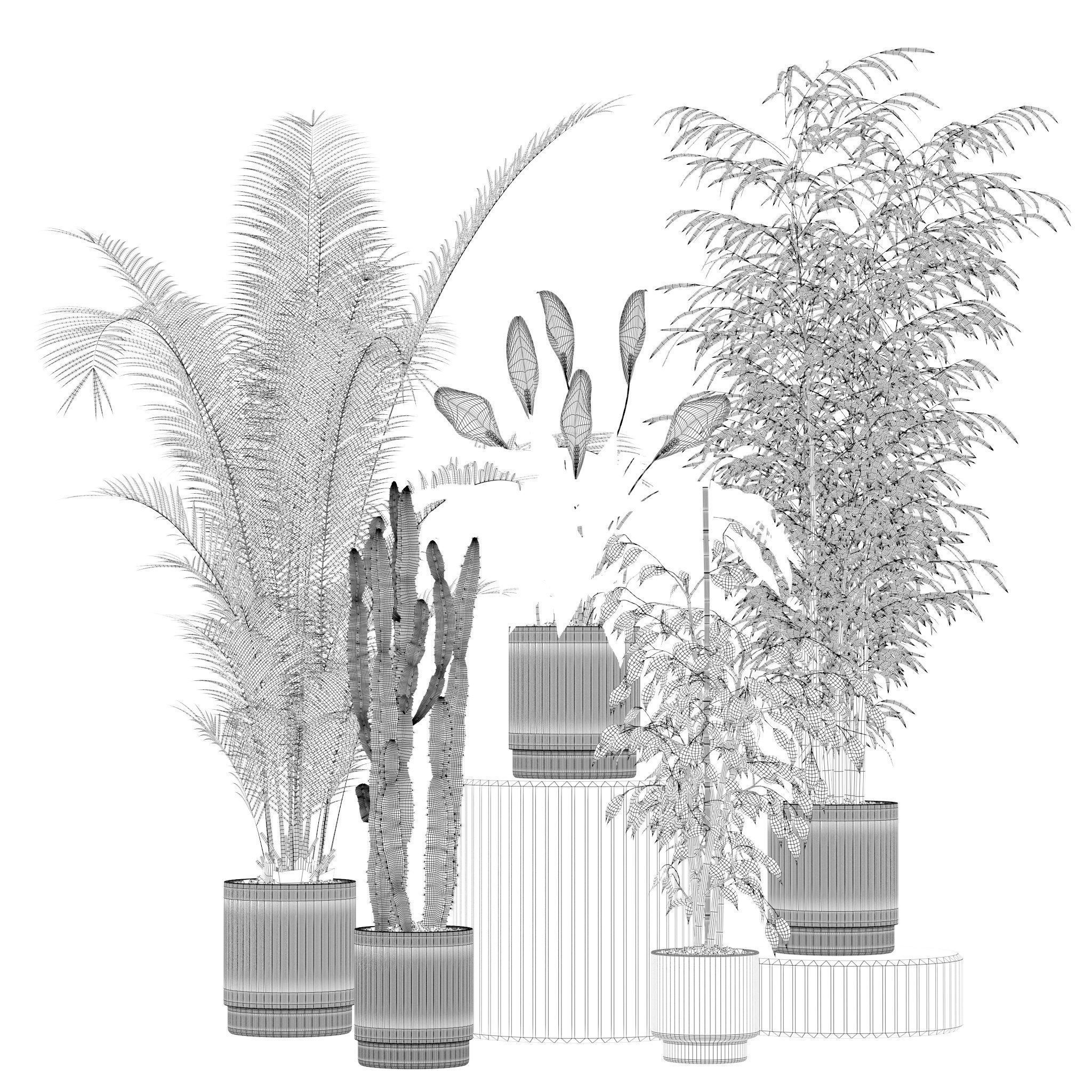 20 Photorealistic Flowers for Interiors - set 203 205 207 209 3D Model Collection_11