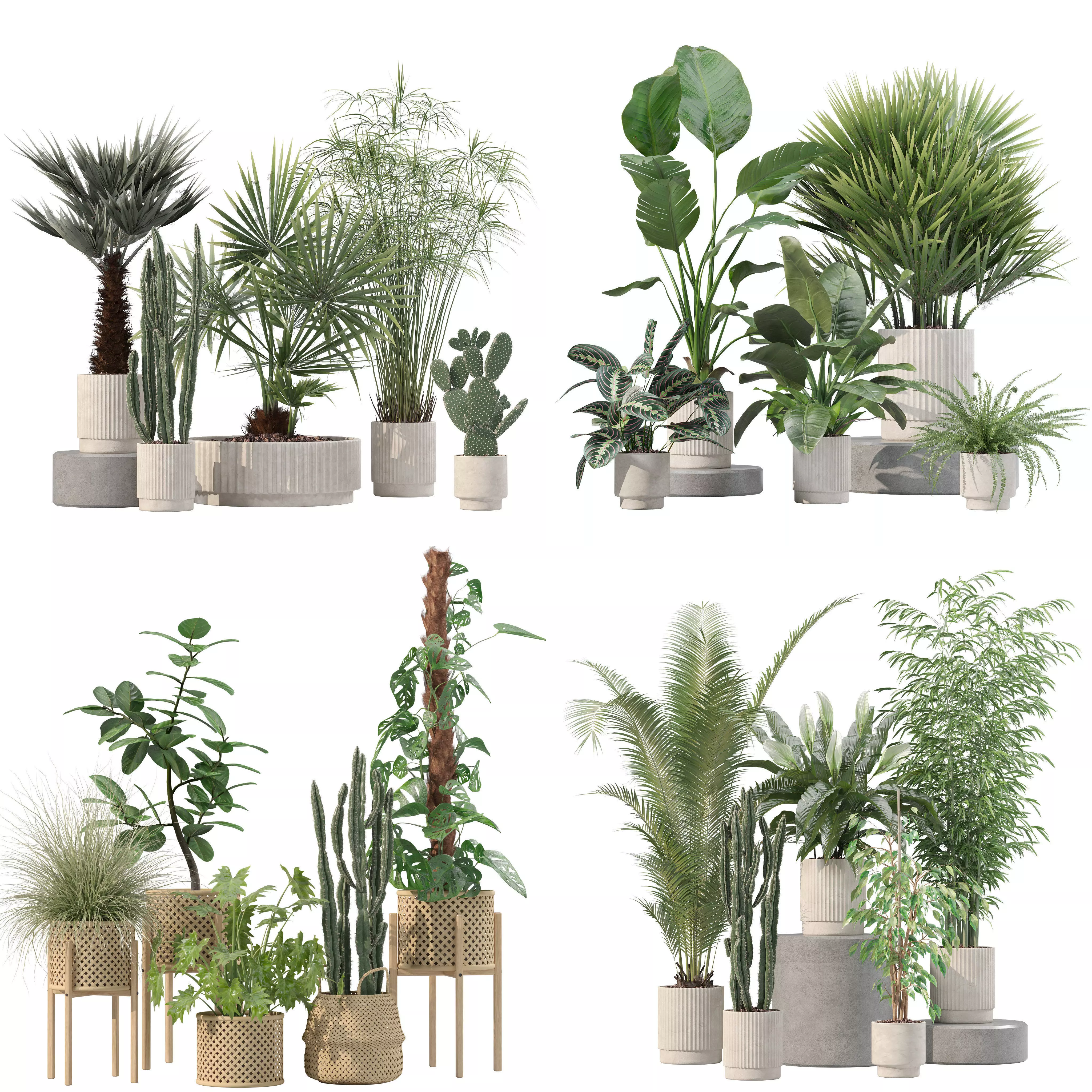 20 Photorealistic Flowers for Interiors - set 203 205 207 218 3D Model Collection_0