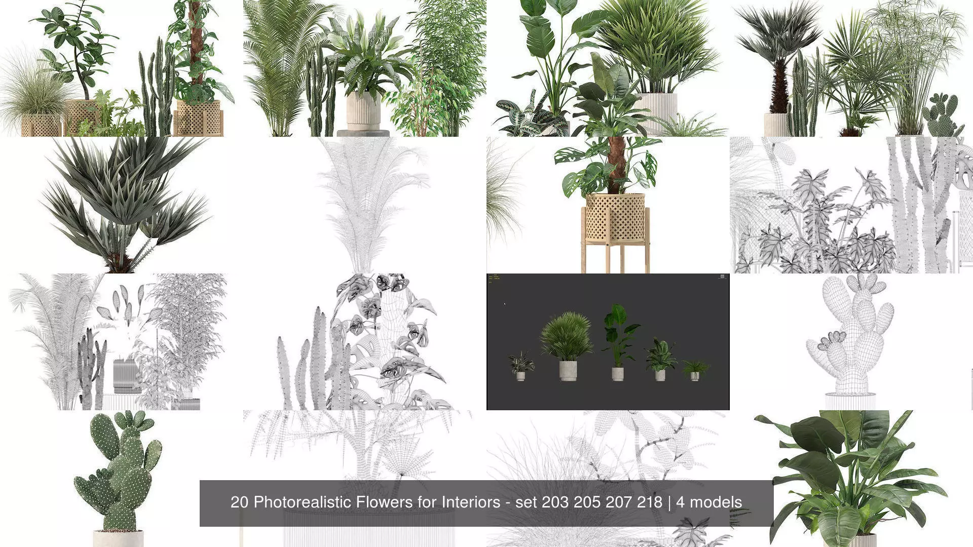 20 Photorealistic Flowers for Interiors - set 203 205 207 218 3D Model Collection_1