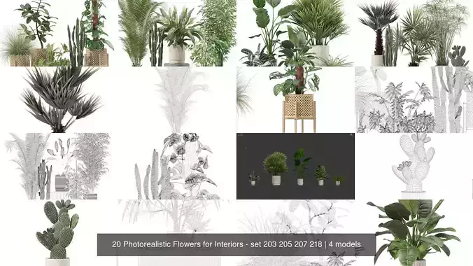 20 Photorealistic Flowers for Interiors - set 203 205 207 218