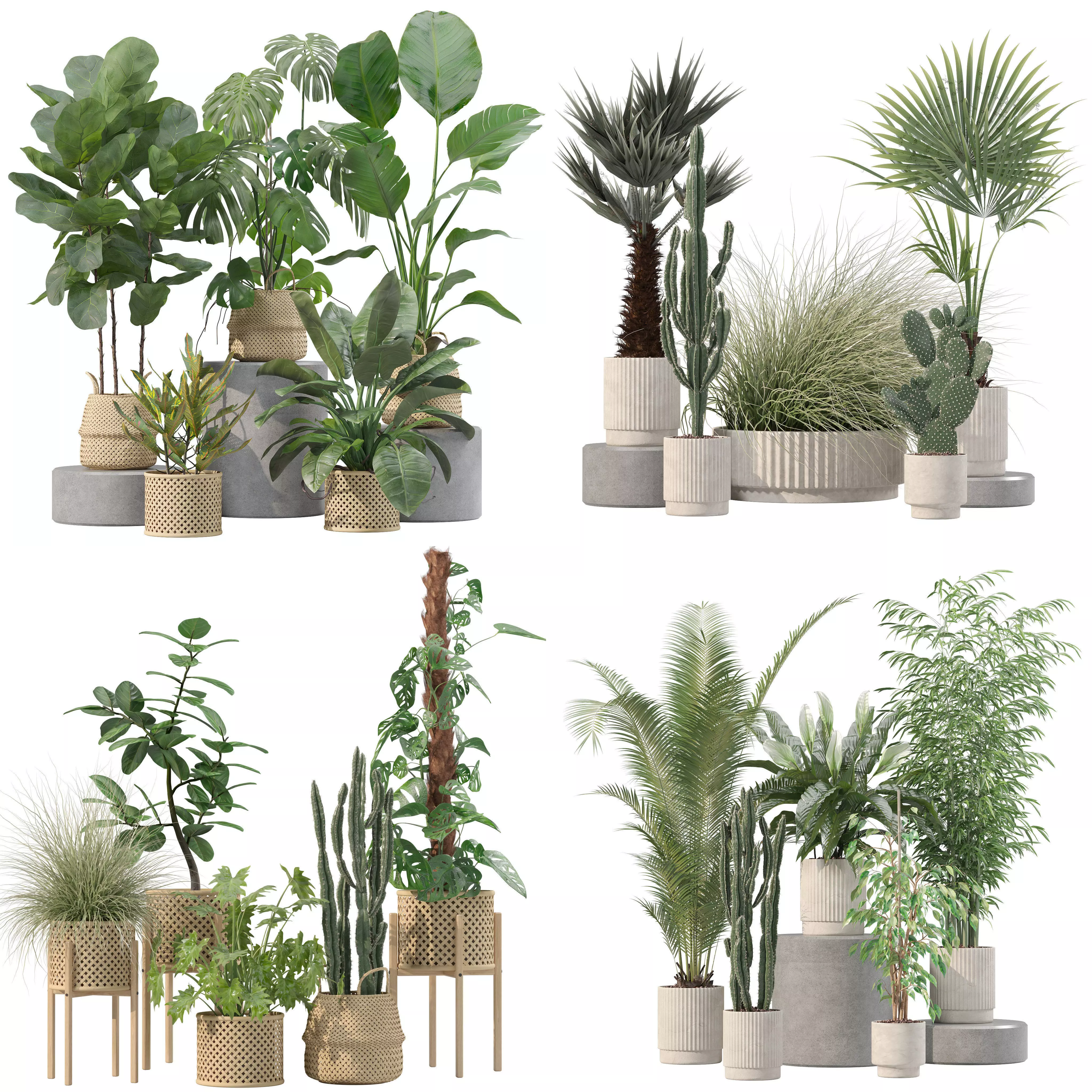 20 Photorealistic Flowers for Interiors - set 203 205 209 216 3D Model Collection_0