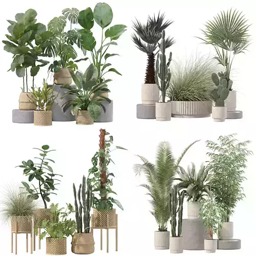 20 Photorealistic Flowers for Interiors - set 203 205 209 216 3D Model Collection