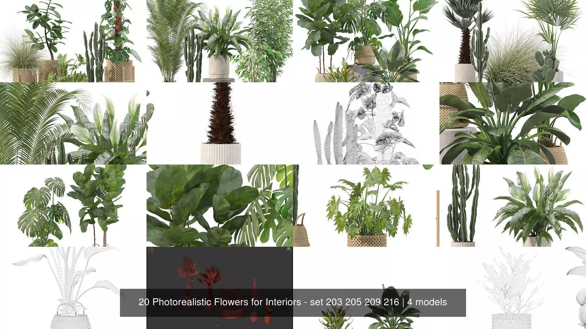 20 Photorealistic Flowers for Interiors - set 203 205 209 216 3D Model Collection_1