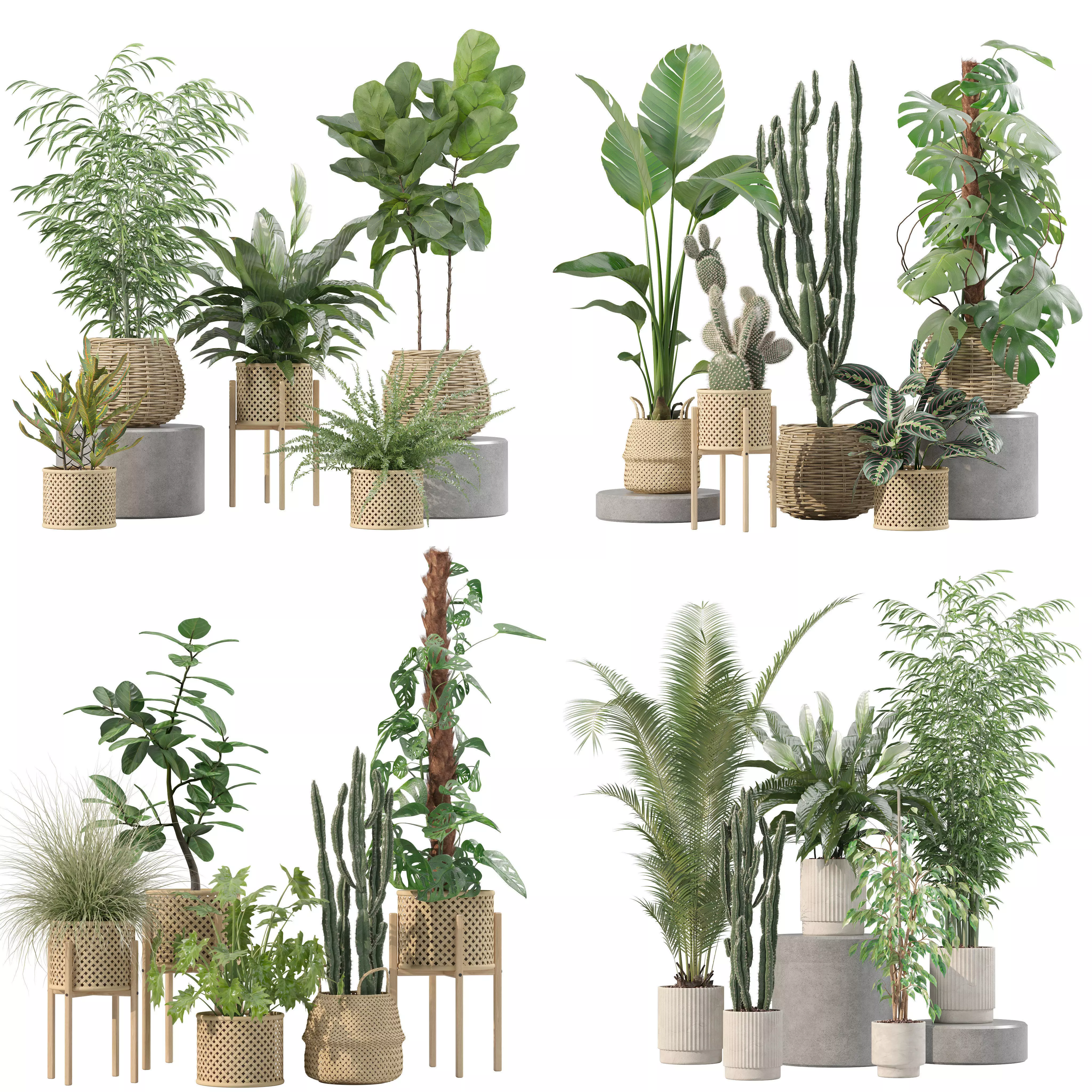 20 Photorealistic Flowers for Interiors - set 203 205 211 214 3D Model Collection_0