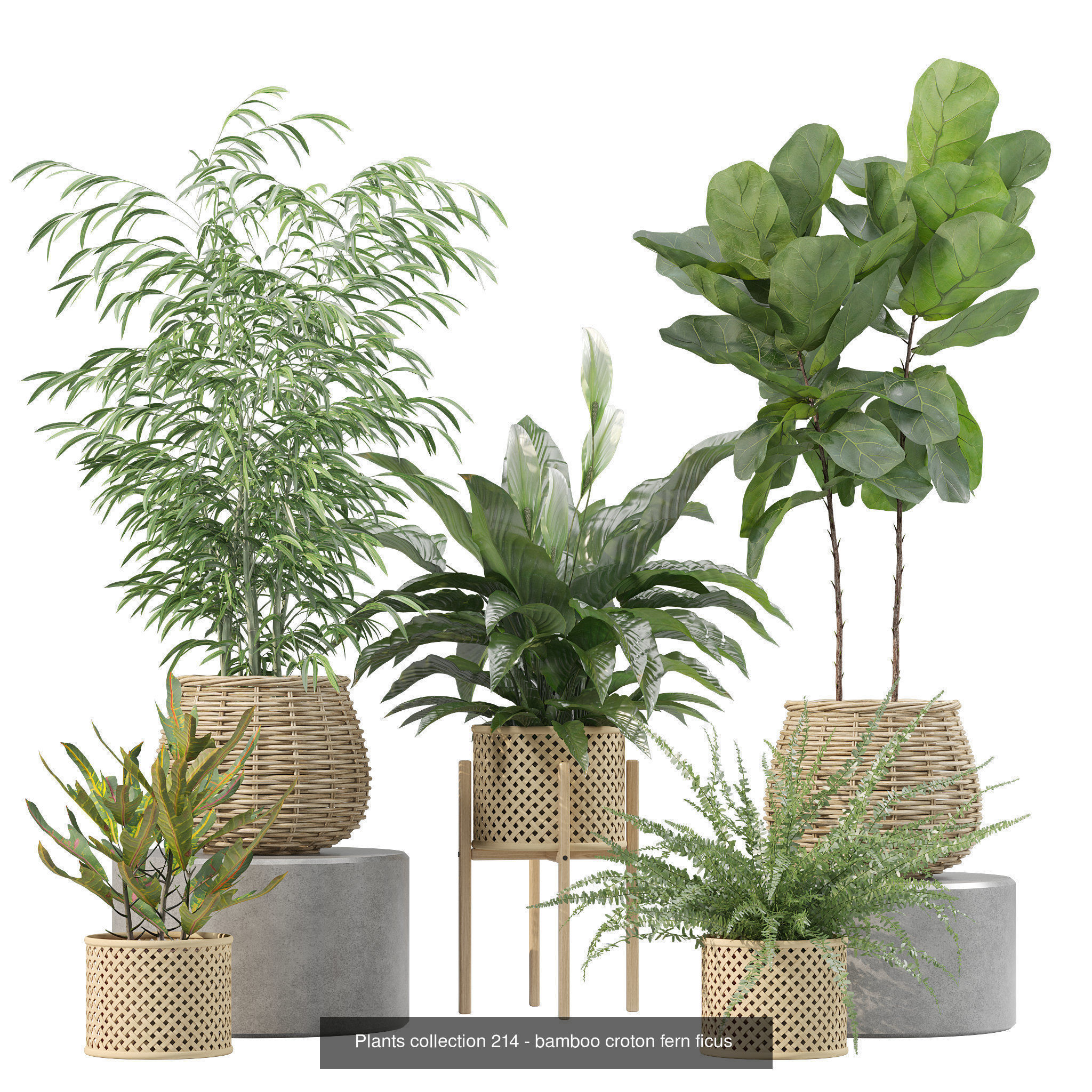 20 Photorealistic Flowers for Interiors - set 203 205 211 214 3D Model Collection_8