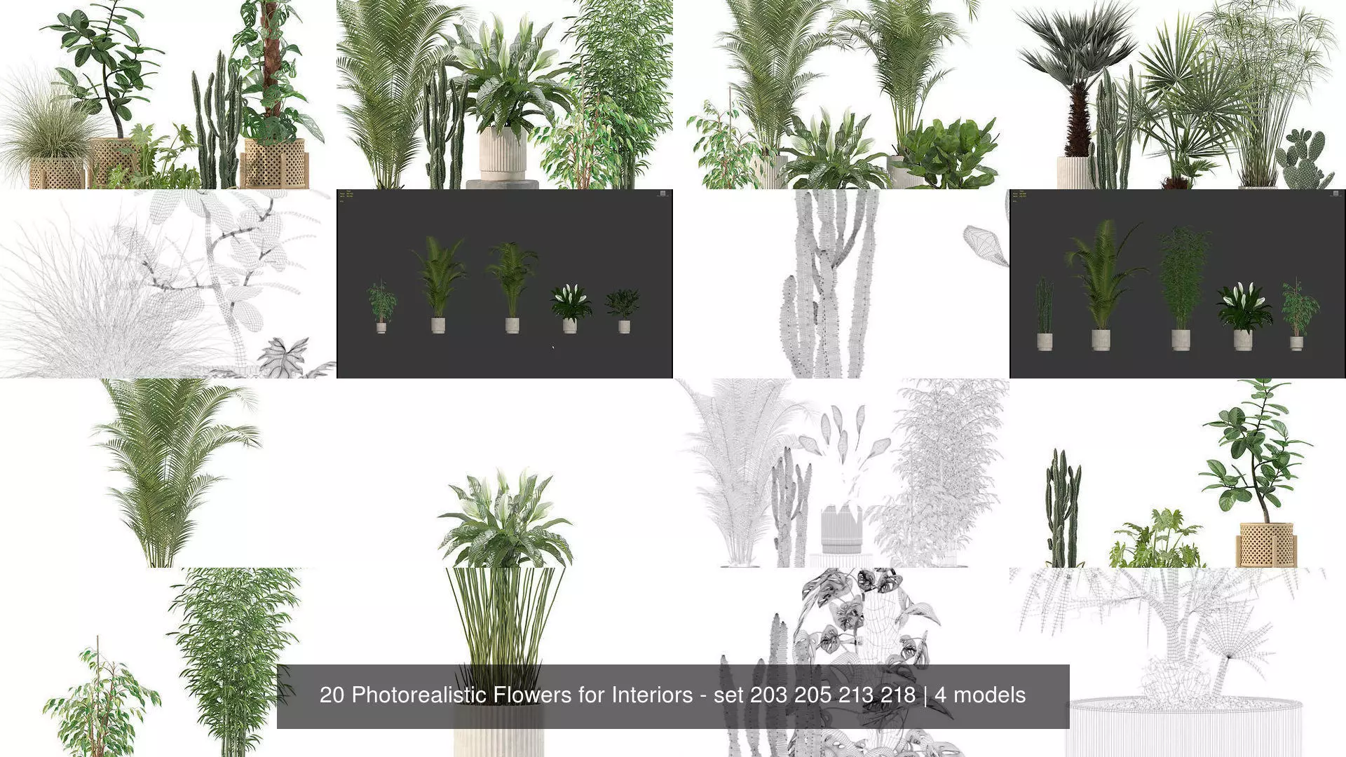 20 Photorealistic Flowers for Interiors - set 203 205 213 218 3D Model Collection_1