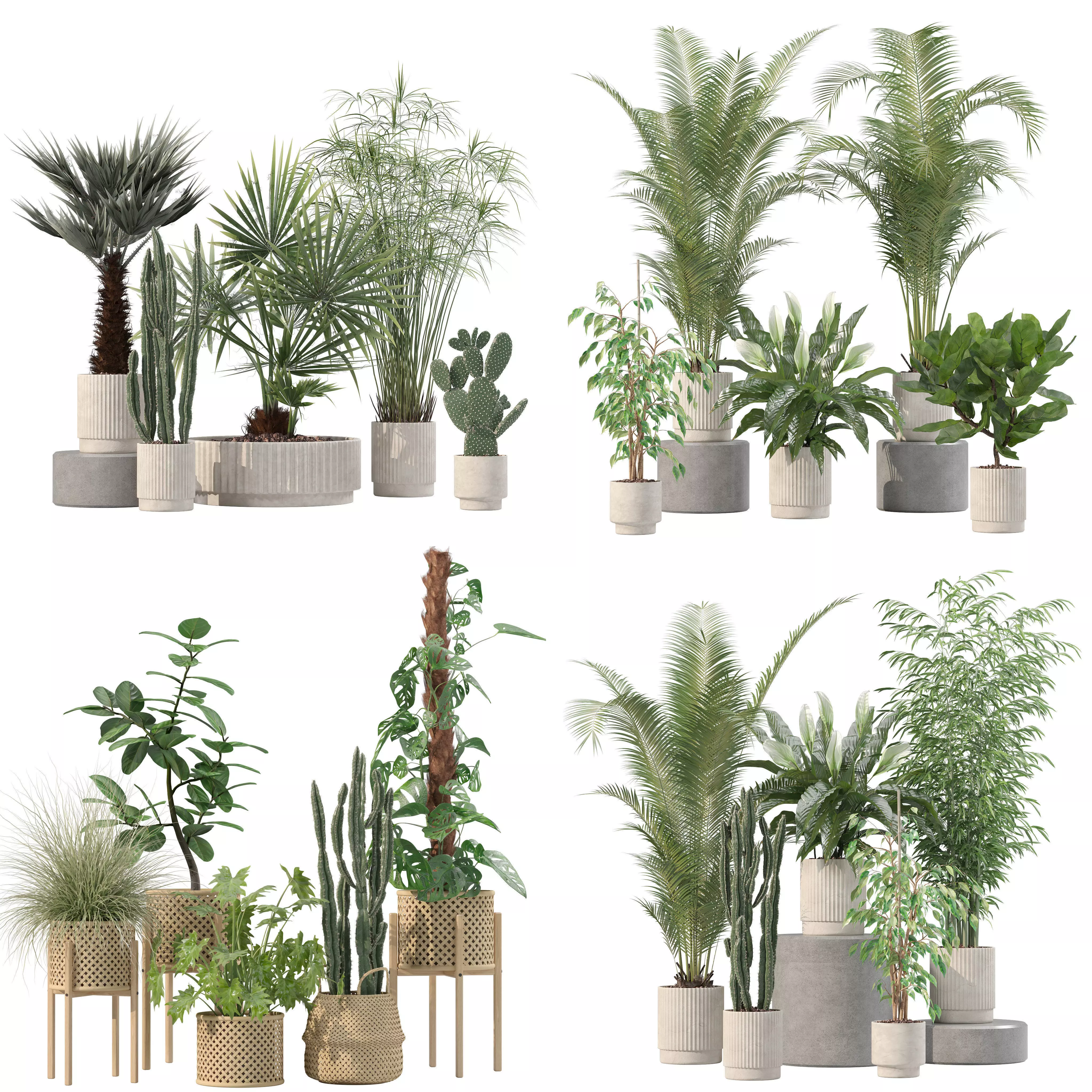 20 Photorealistic Flowers for Interiors - set 203 205 213 218 3D Model Collection_0