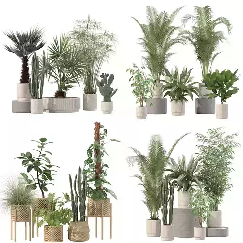 20 Photorealistic Flowers for Interiors - set 203 205 213 218 3D Model Collection