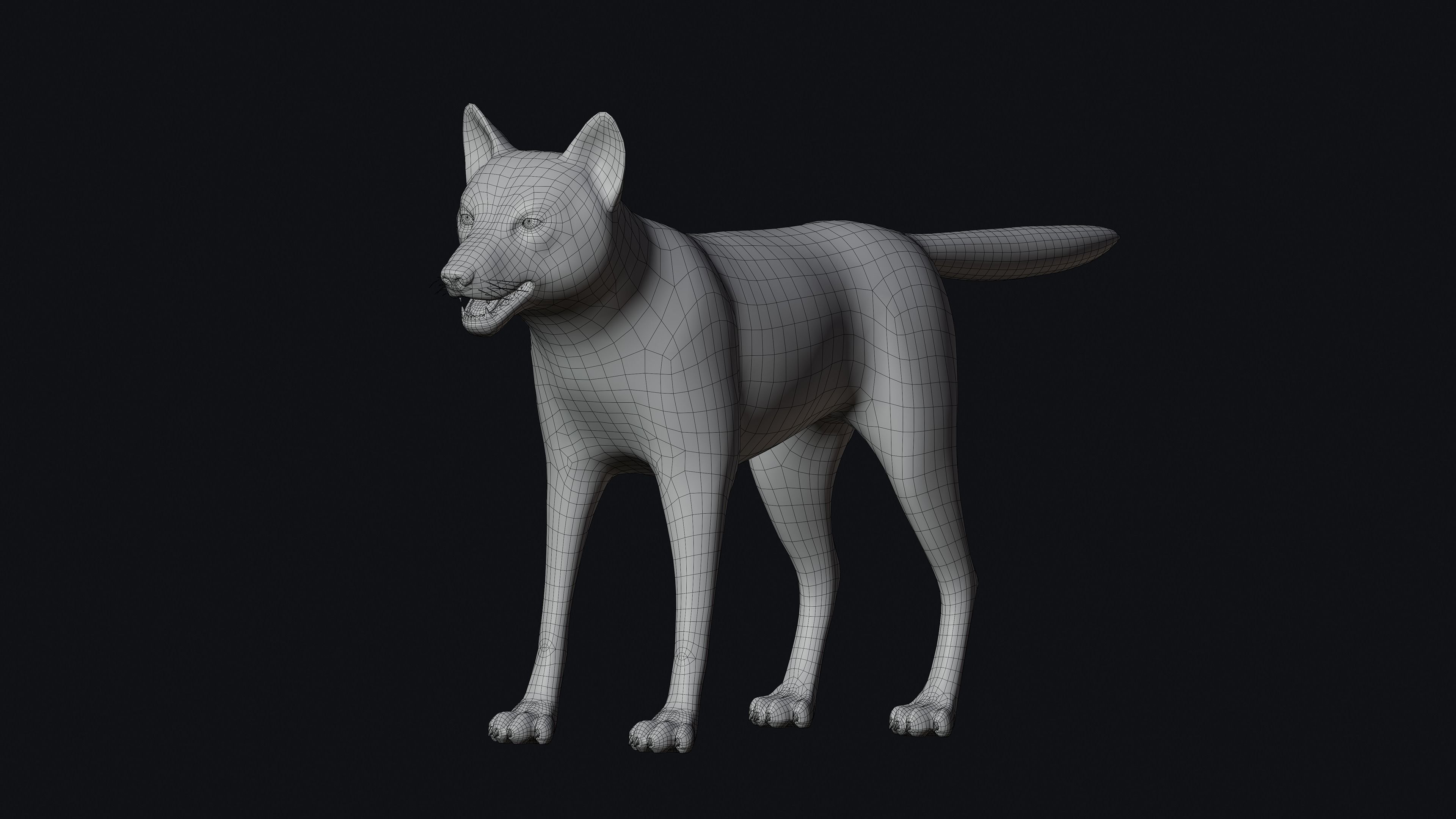 Wolf Animation 3D model_25