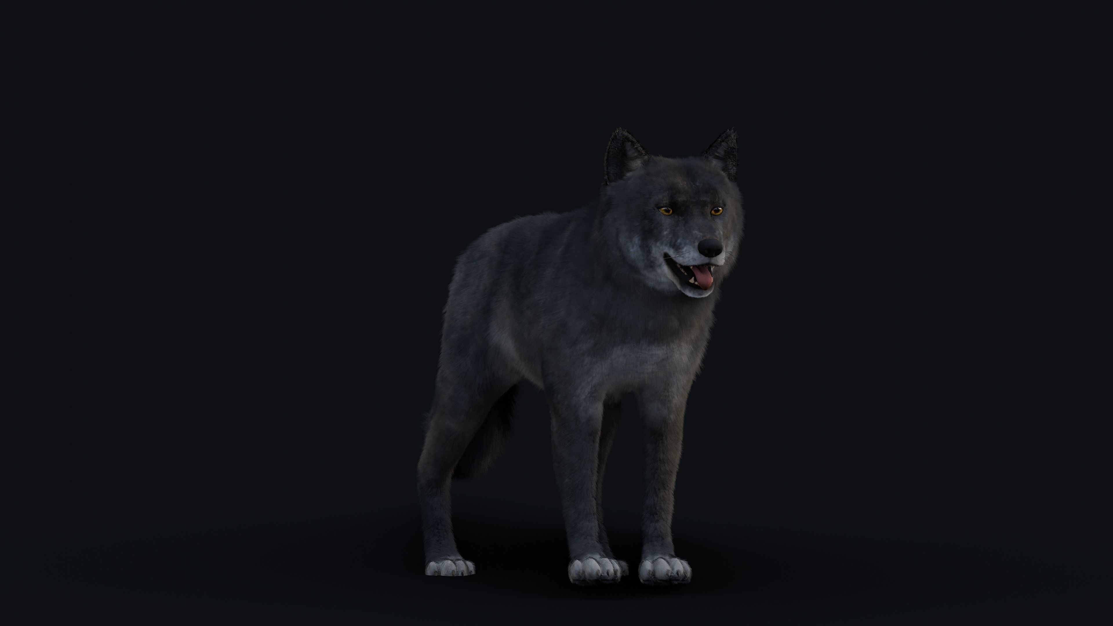Wolf Animation 3D model_29