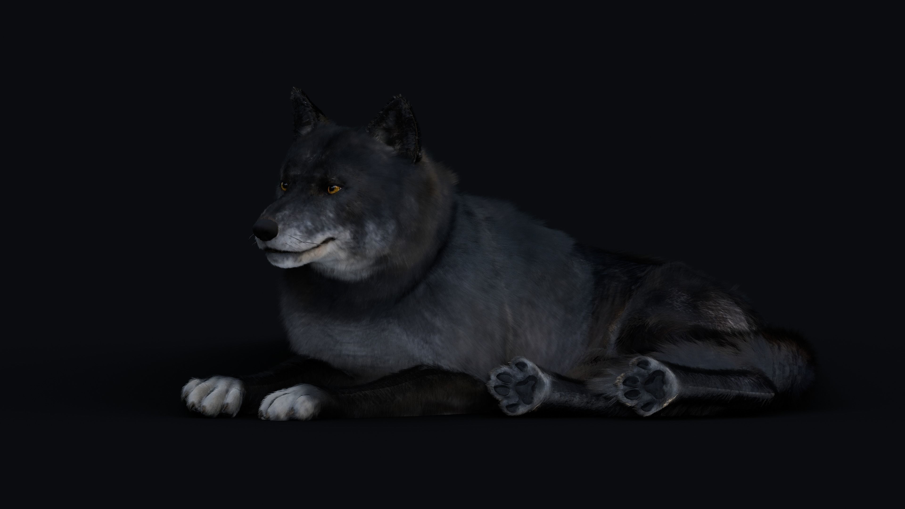 Wolf Animation 3D model_11