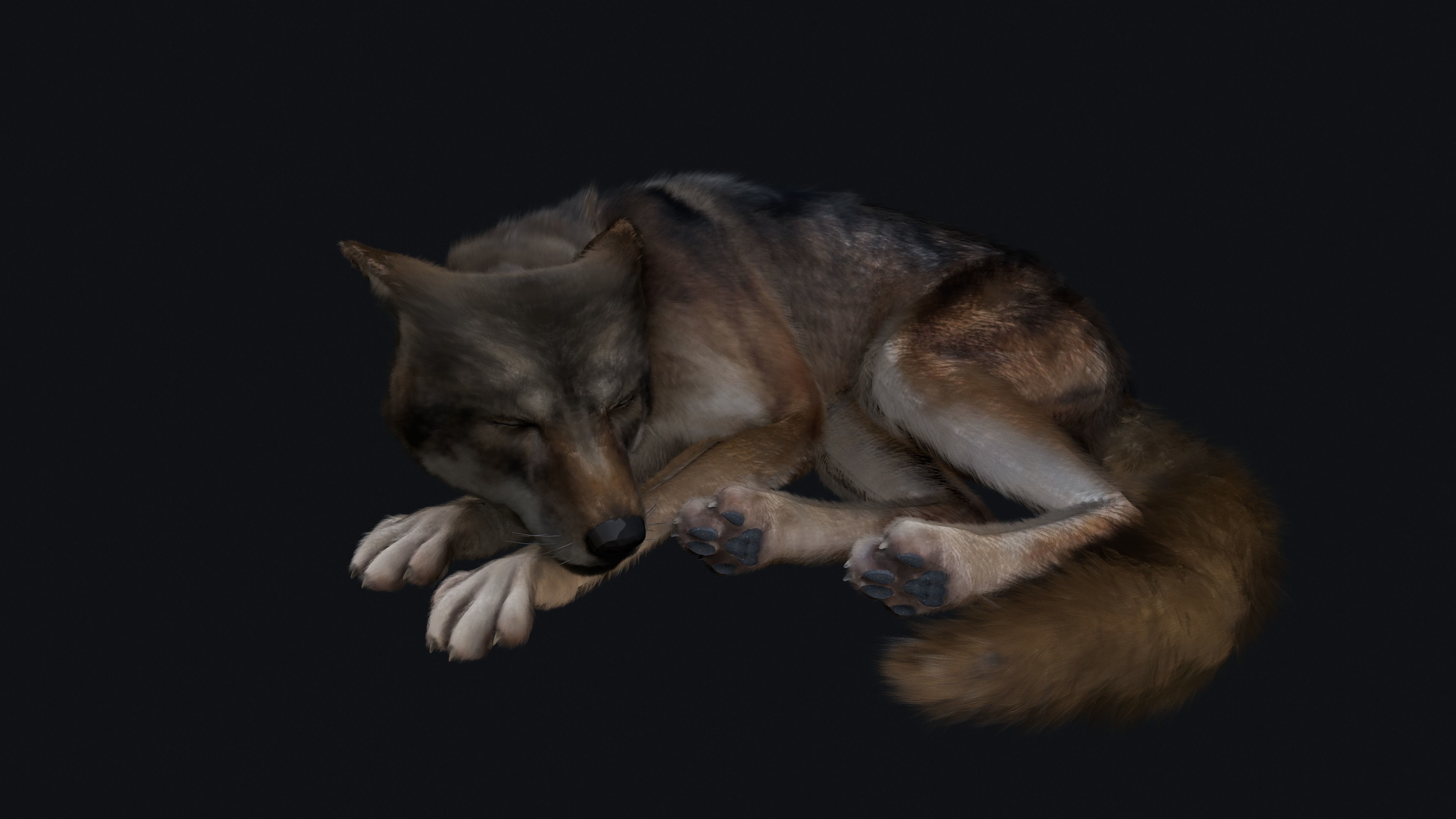 Wolf Animation 3D model_20