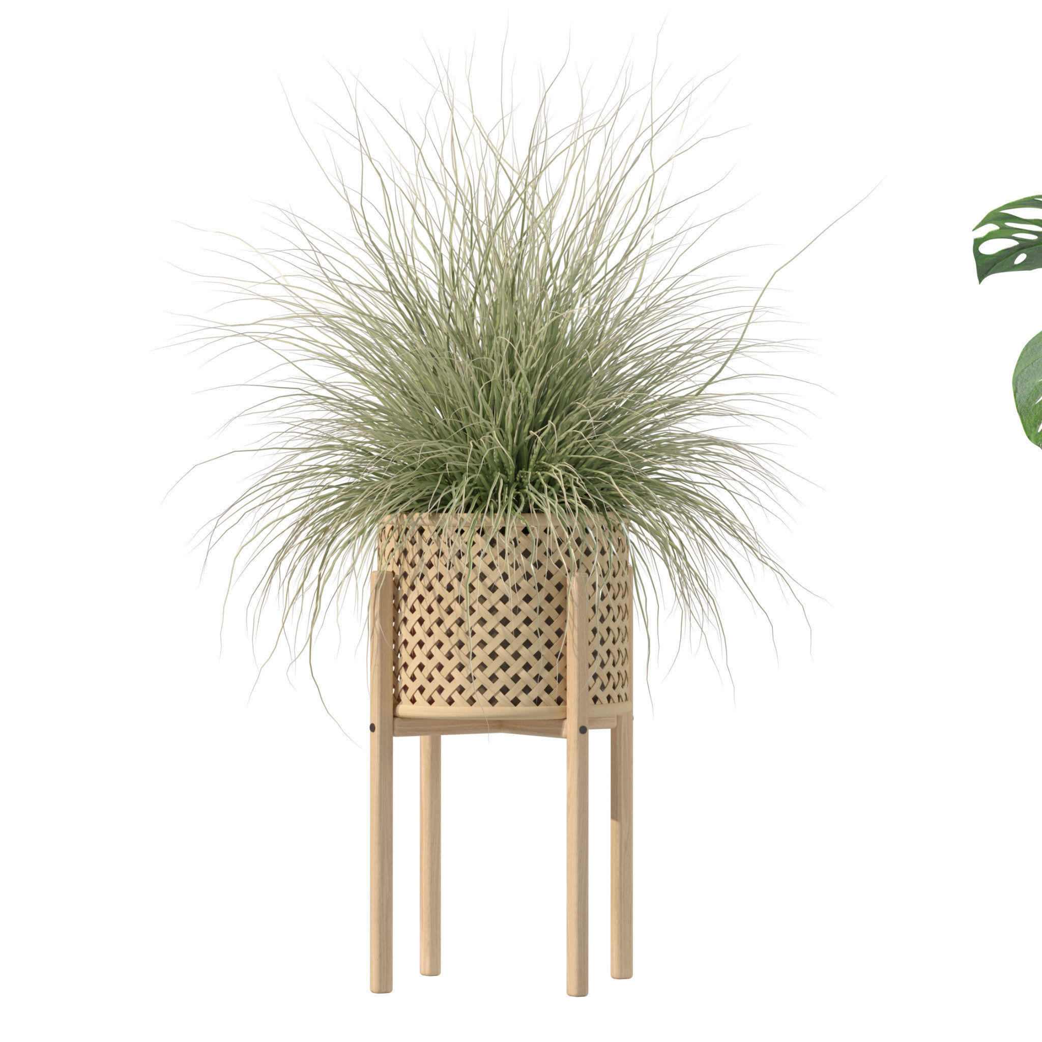 20 Photorealistic Flowers for Interiors - set 203 205 218 219 3D Model Collection_15