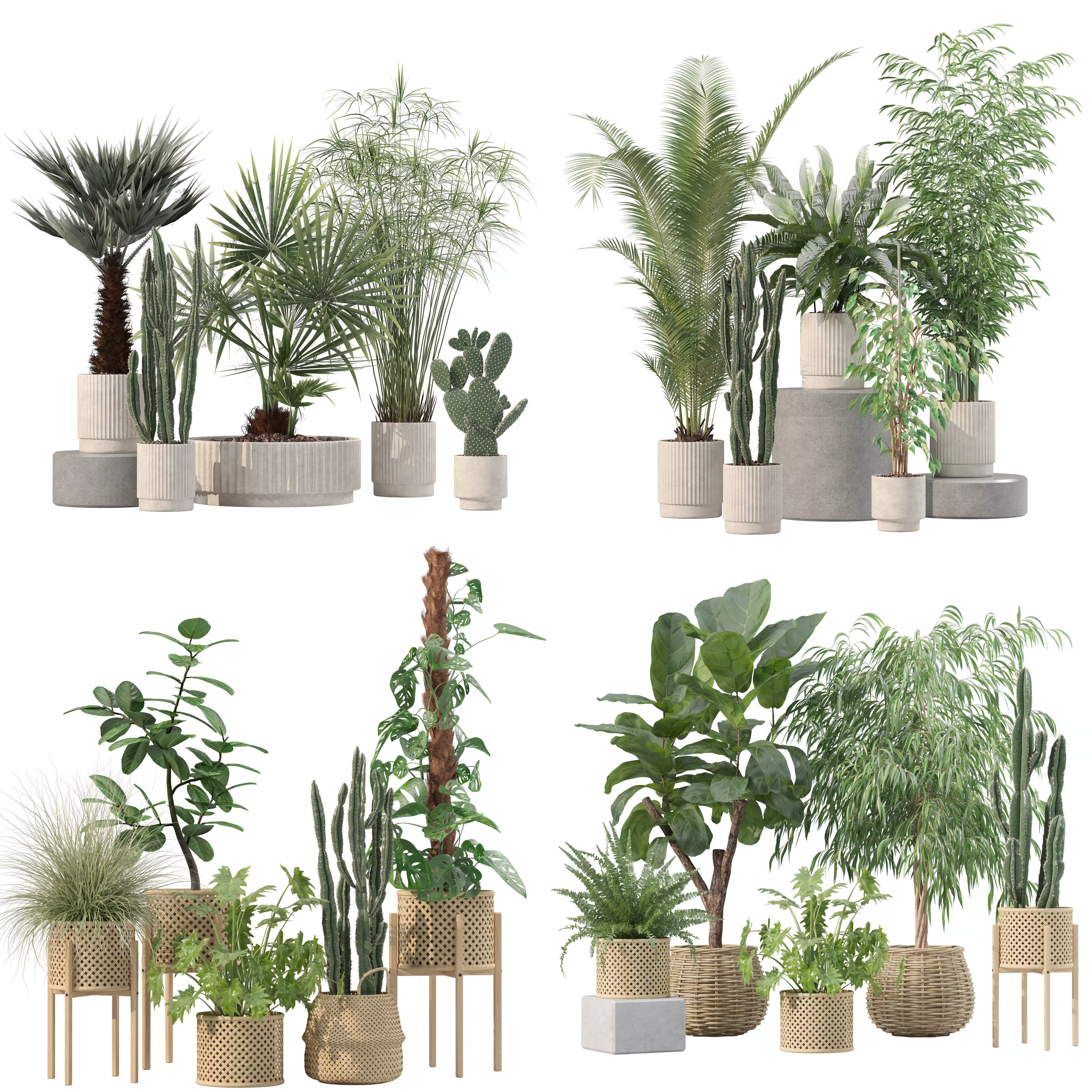 20 Photorealistic Flowers for Interiors - set 203 205 218 219 3D Model Collection_0