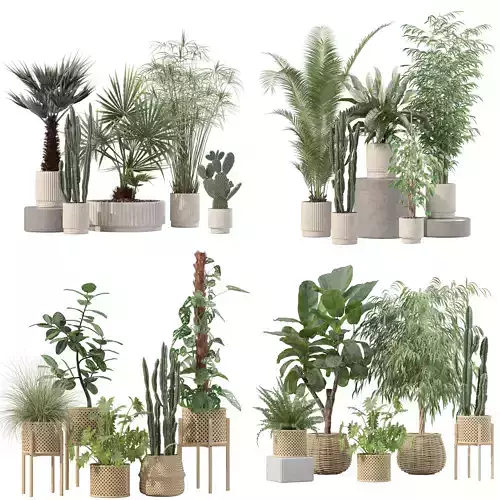 20 Photorealistic Flowers for Interiors - set 203 205 218 219 3D Model Collection