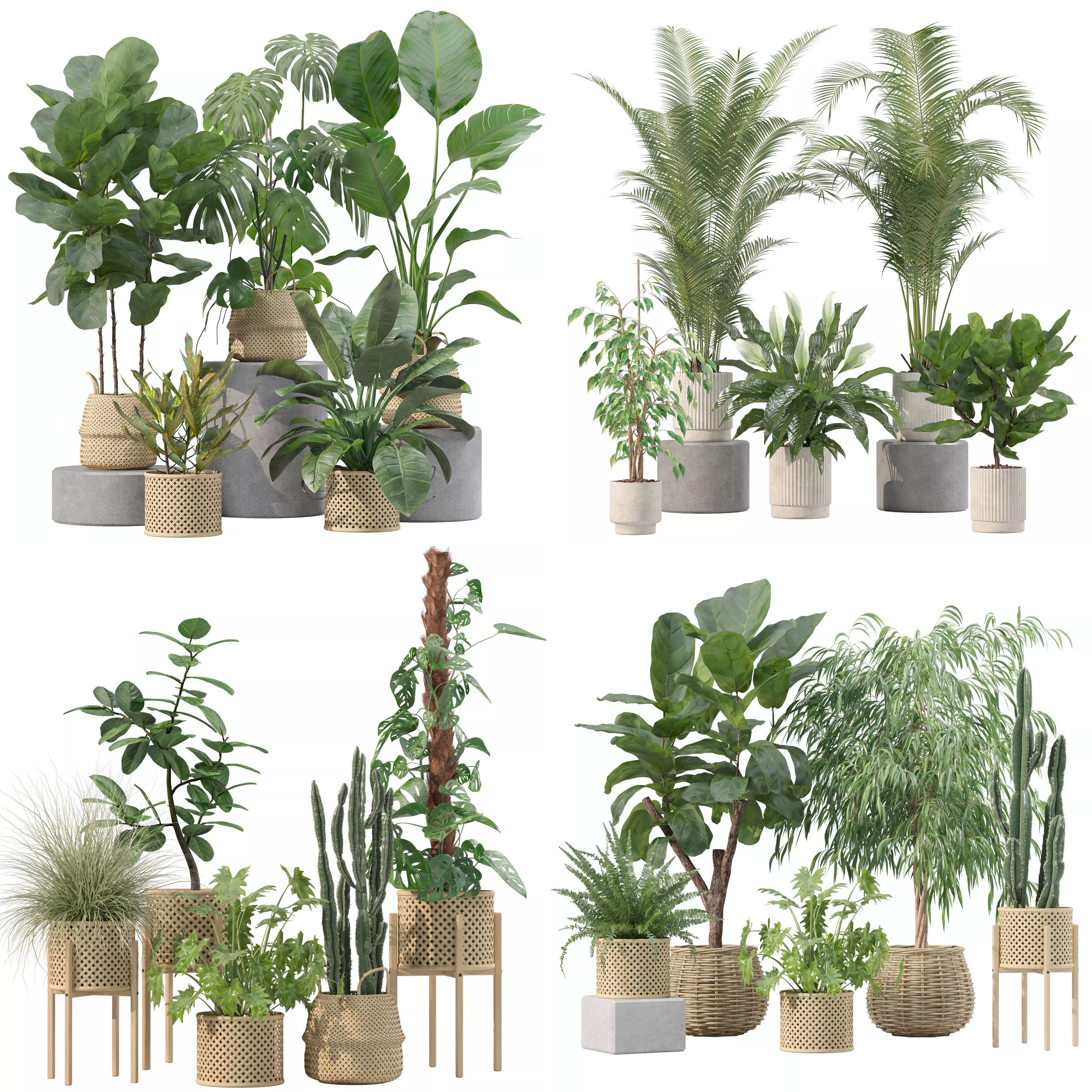 20 Photorealistic Flowers for Interiors - set 203 209 213 219 3D Model Collection_0