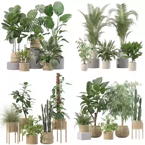 20 Photorealistic Flowers for Interiors - set 203 209 213 219 3D Model Collection