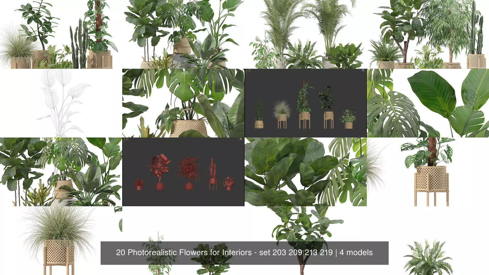20 Photorealistic Flowers for Interiors - set 203 209 213 219 3D Model Collection_1