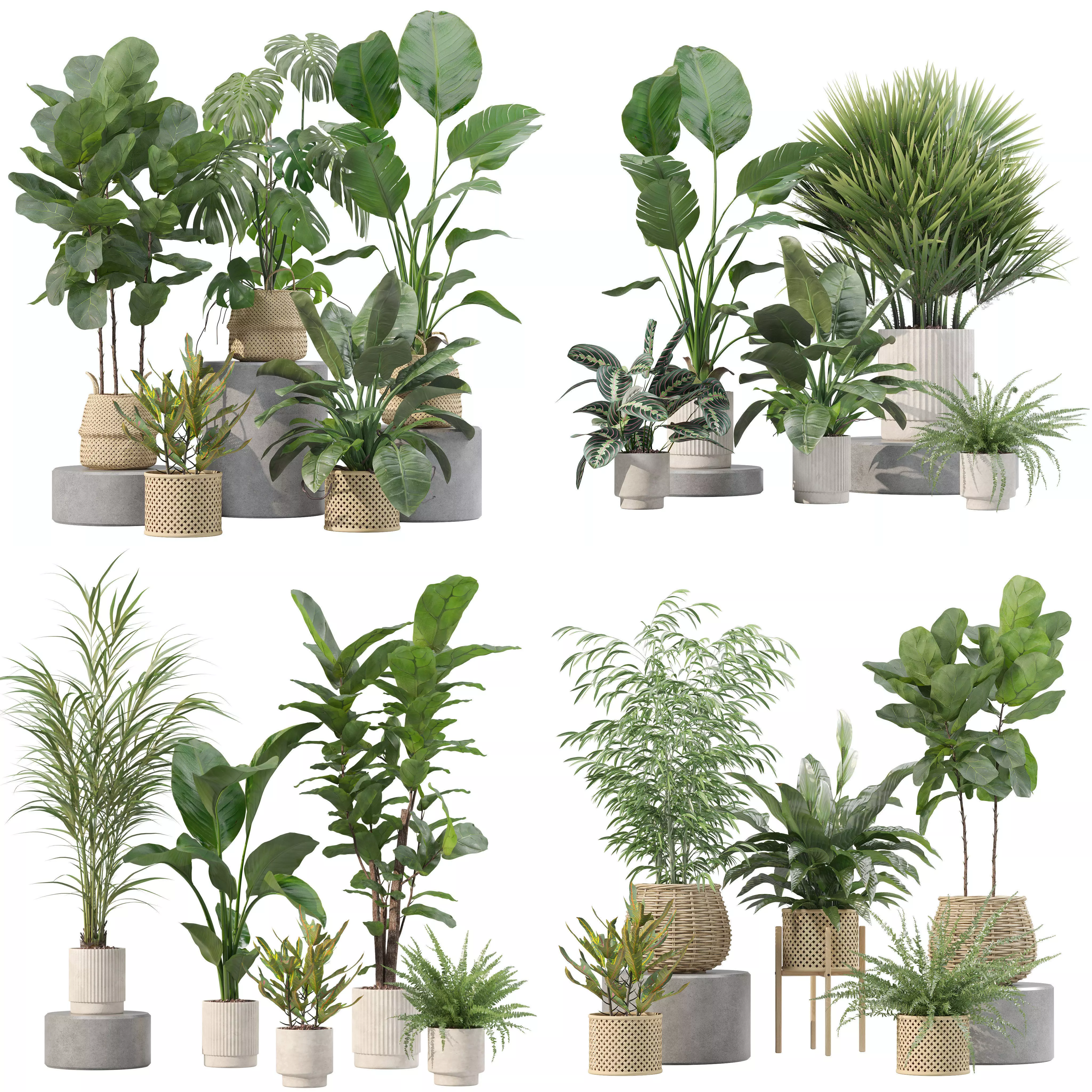 20 Photorealistic Flowers for Interiors - set 204 207 209 214 3D Model Collection_0