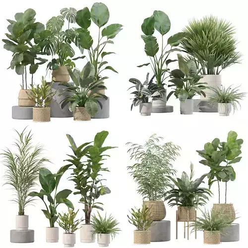 20 Photorealistic Flowers for Interiors - set 204 207 209 214 3D Model Collection
