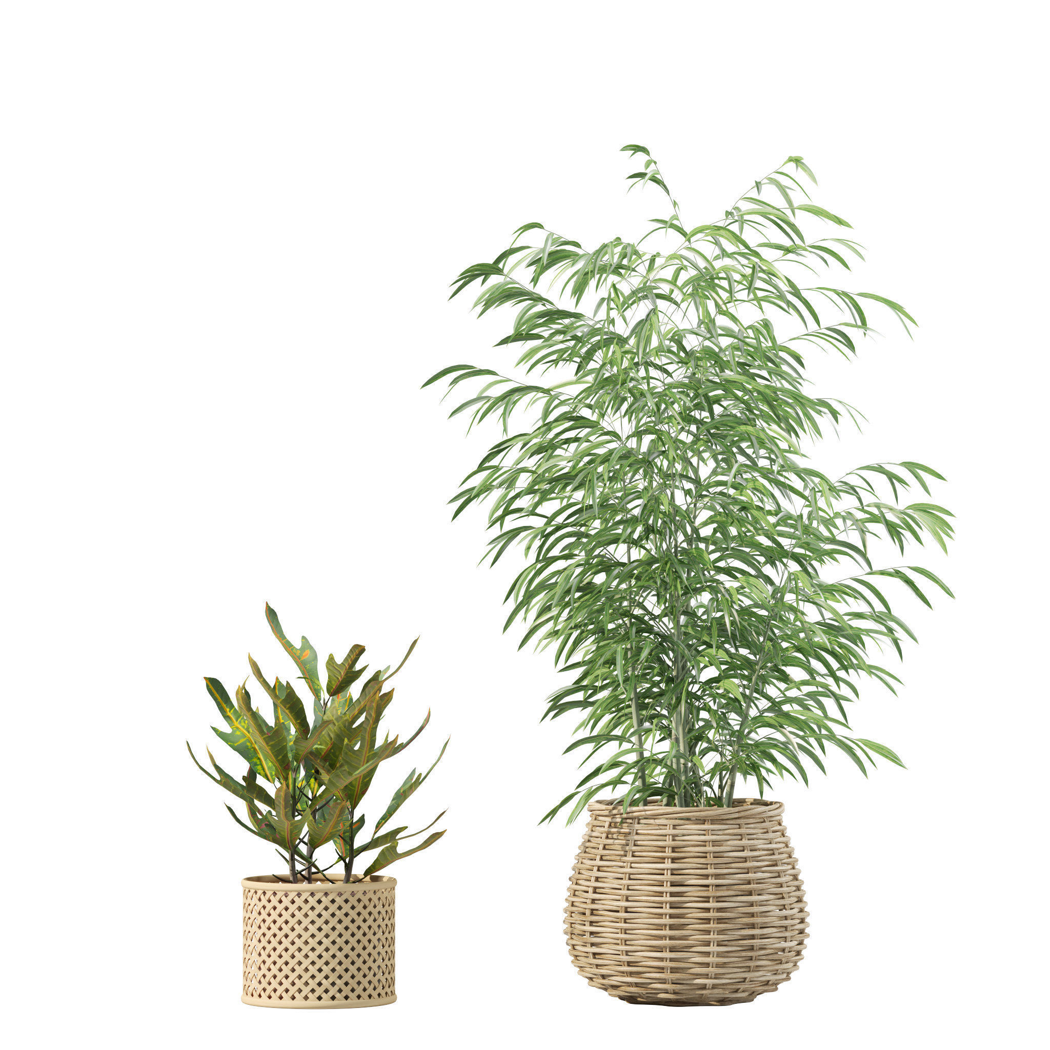 20 Photorealistic Flowers for Interiors - set 204 207 209 214 3D Model Collection_34