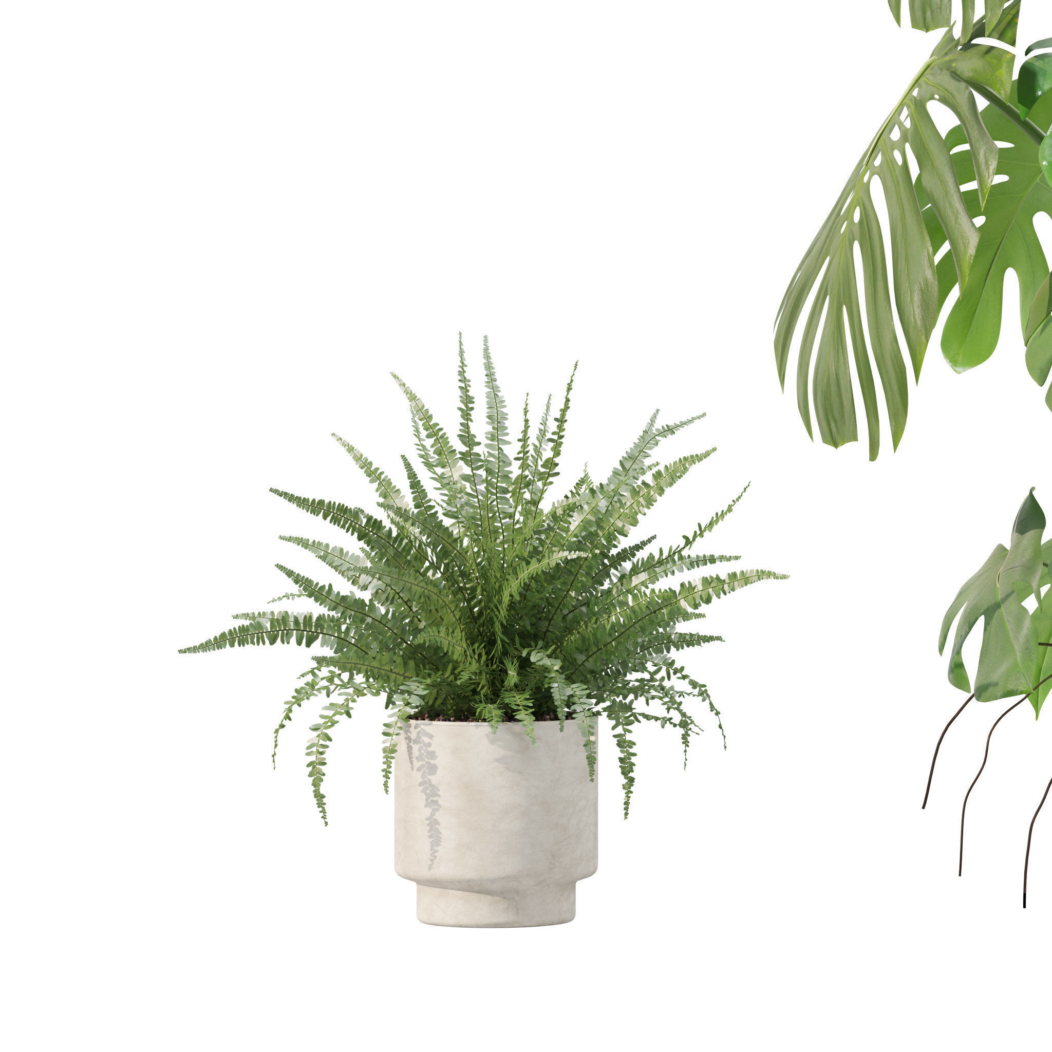 20 Photorealistic Flowers for Interiors - set 204 207 211 212 3D Model Collection_31