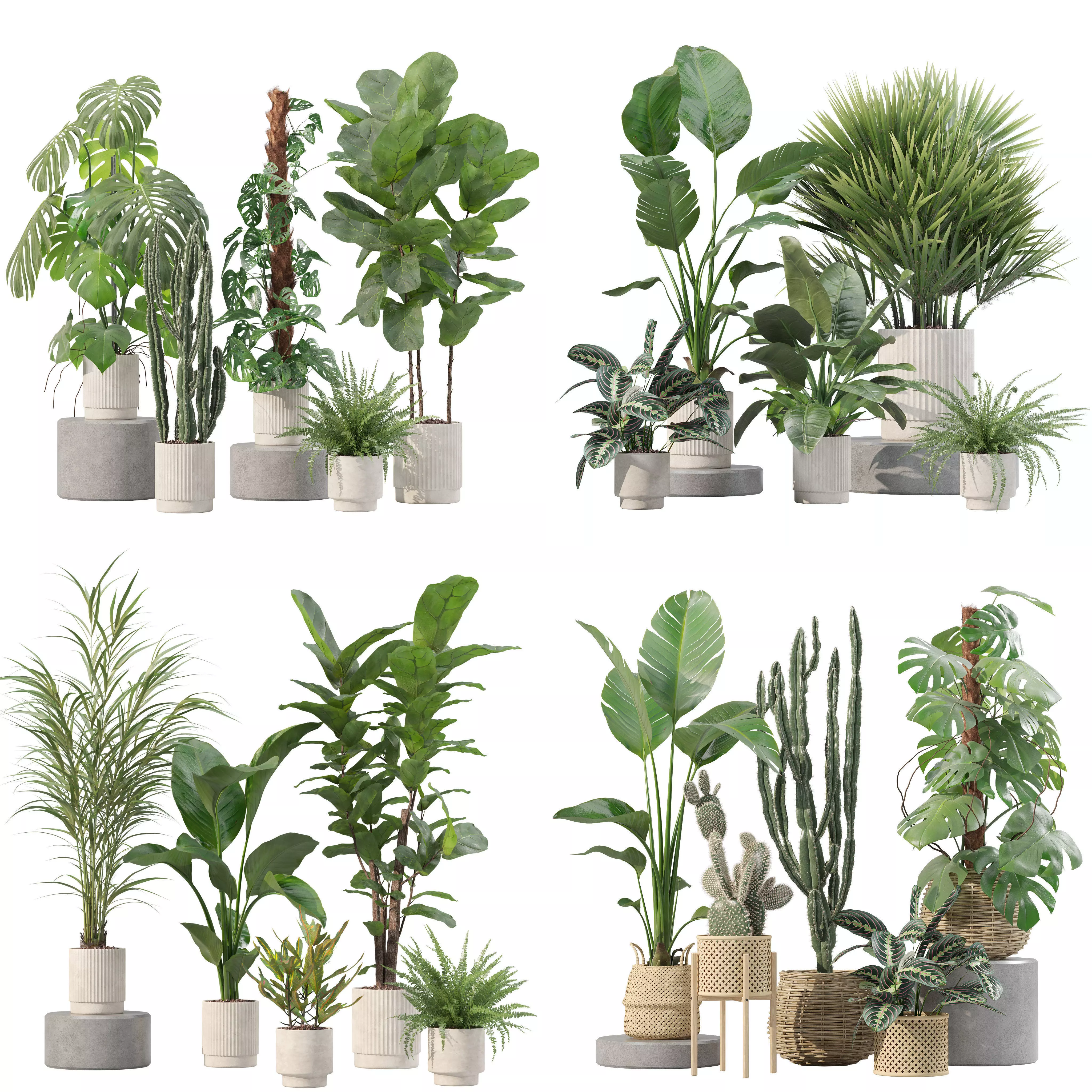 20 Photorealistic Flowers for Interiors - set 204 207 211 212 3D Model Collection_0