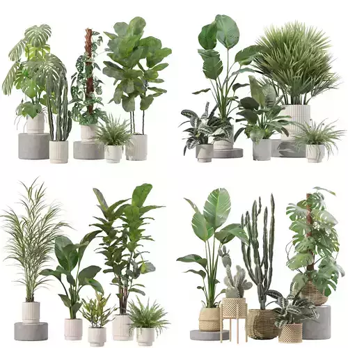 20 Photorealistic Flowers for Interiors - set 204 207 211 212 3D Model Collection
