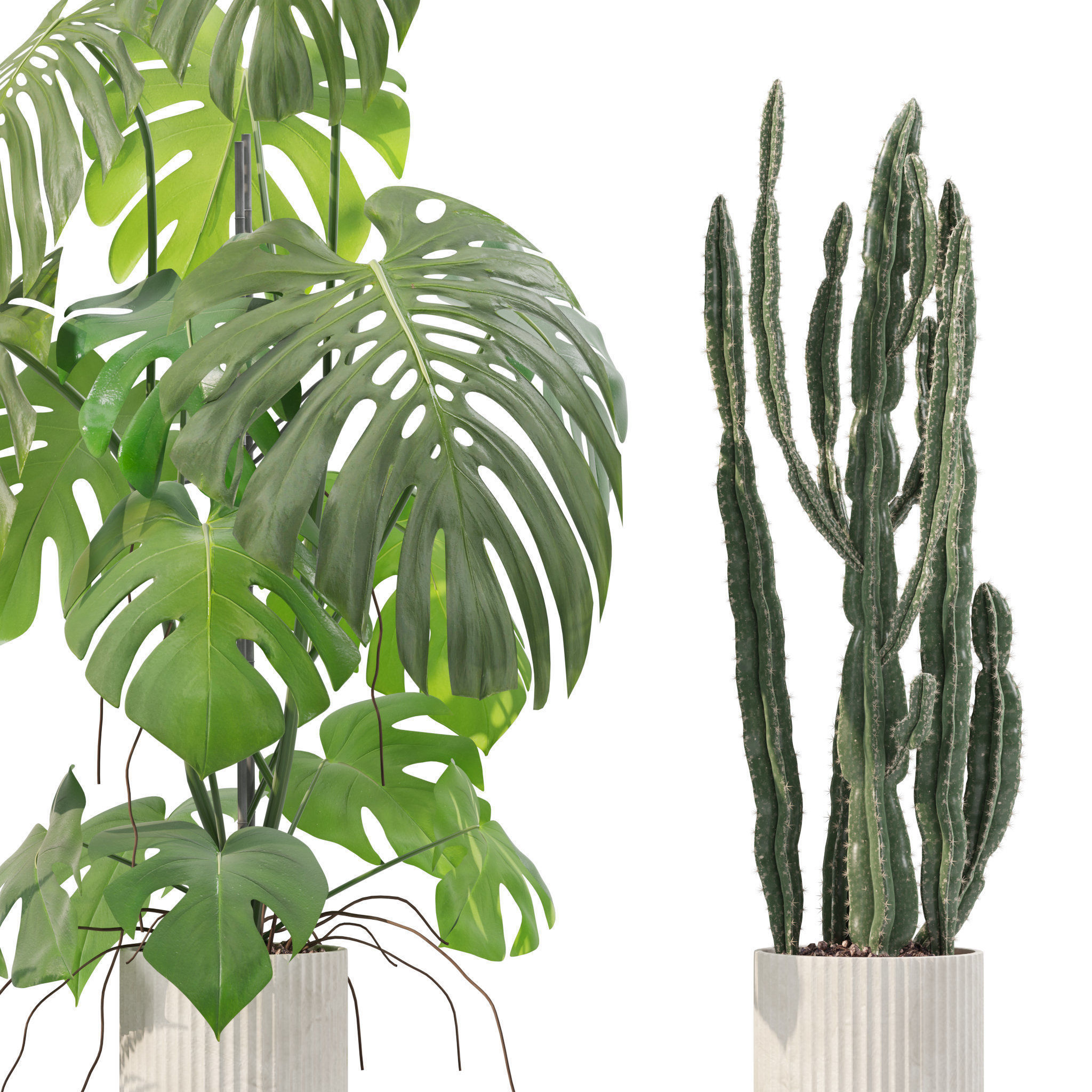 20 Photorealistic Flowers for Interiors - set 204 207 211 212 3D Model Collection_29