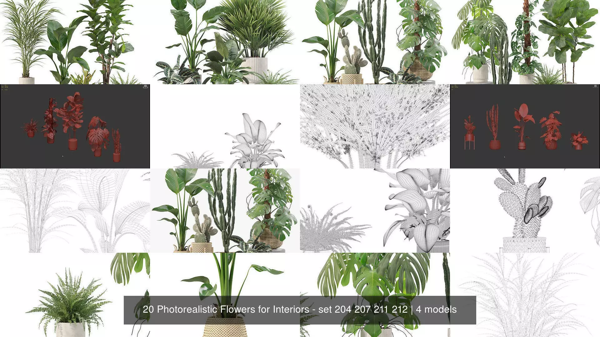 20 Photorealistic Flowers for Interiors - set 204 207 211 212 3D Model Collection_1
