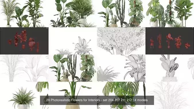 20 Photorealistic Flowers for Interiors - set 204 207 211 212