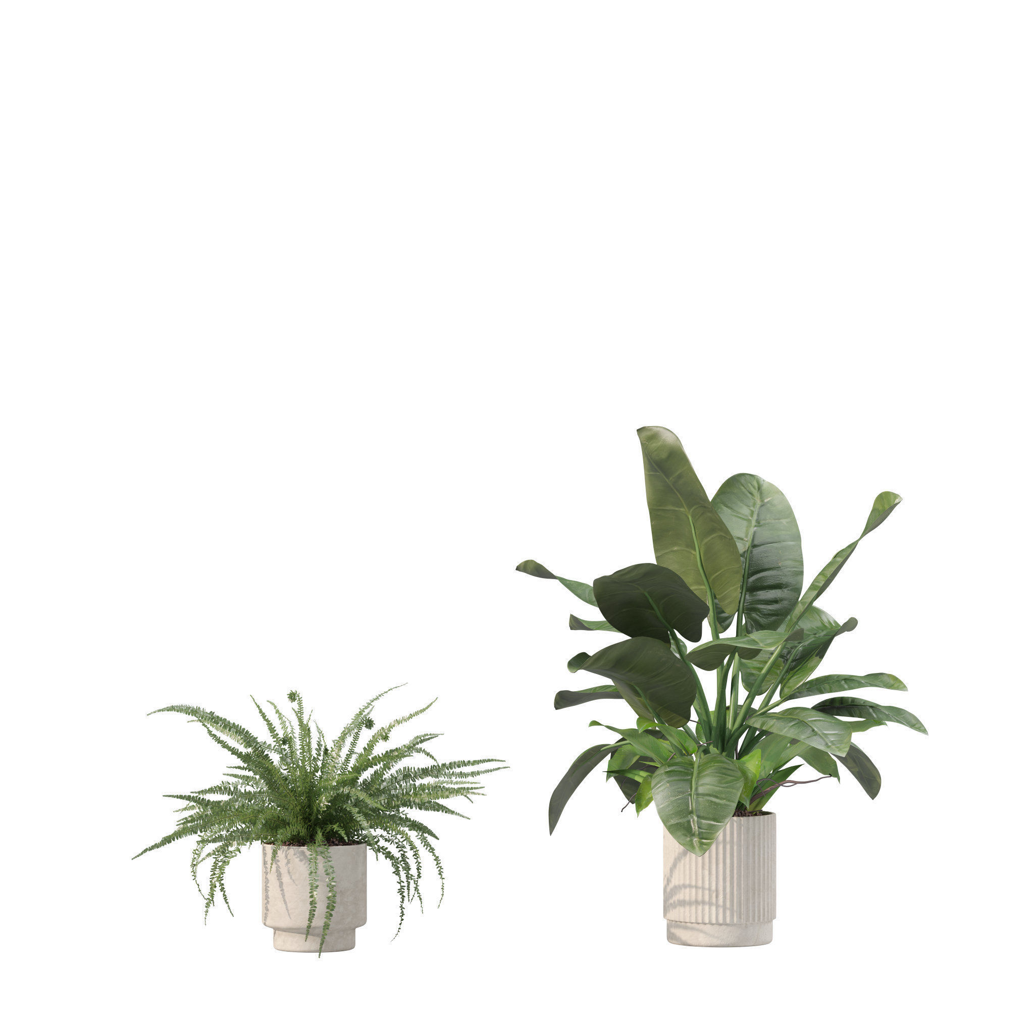 20 Photorealistic Flowers for Interiors - set 204 207 213 219 3D Model Collection_21