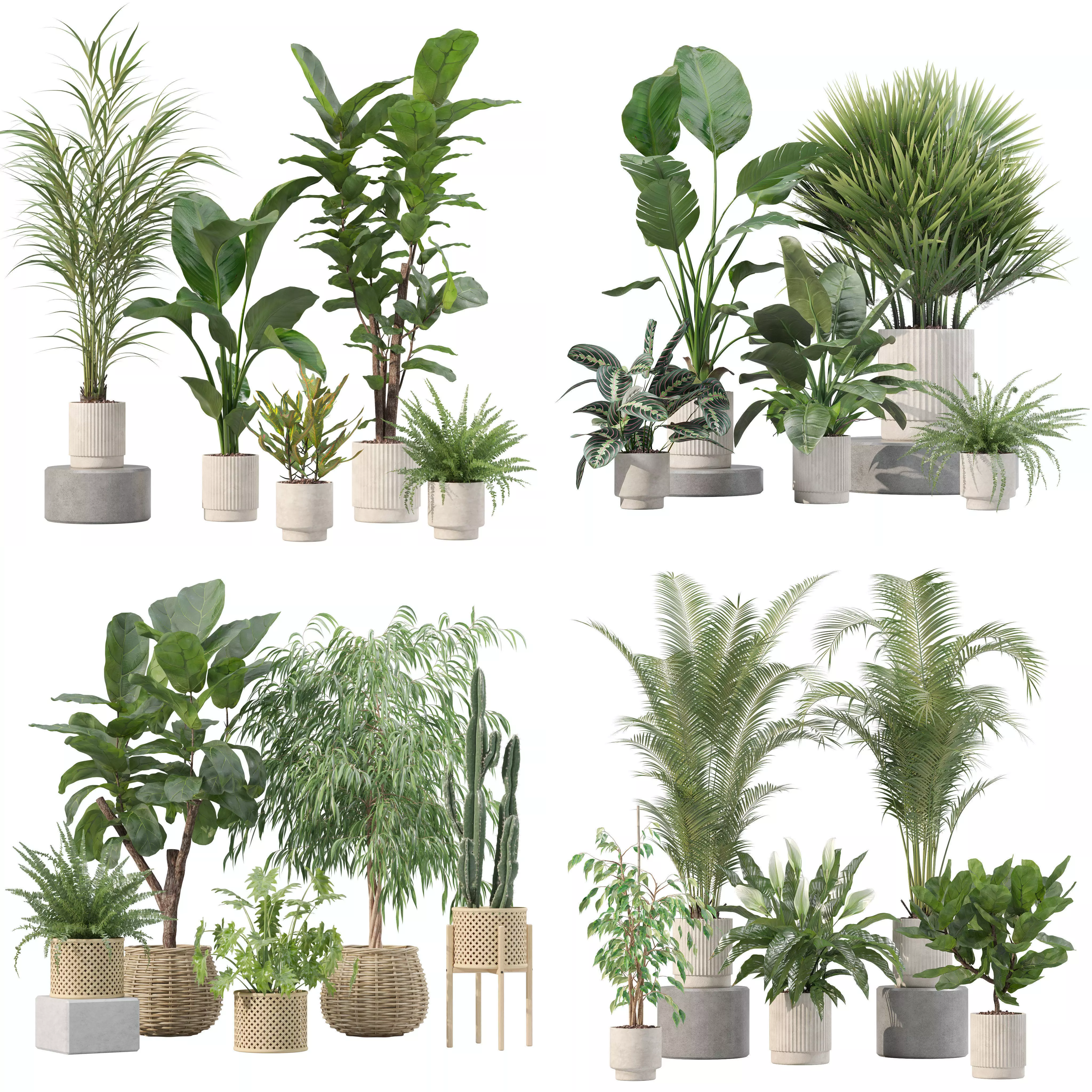 20 Photorealistic Flowers for Interiors - set 204 207 213 219 3D Model Collection_0