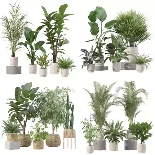 20 Photorealistic Flowers for Interiors - set 204 207 213 219 3D Model Collection