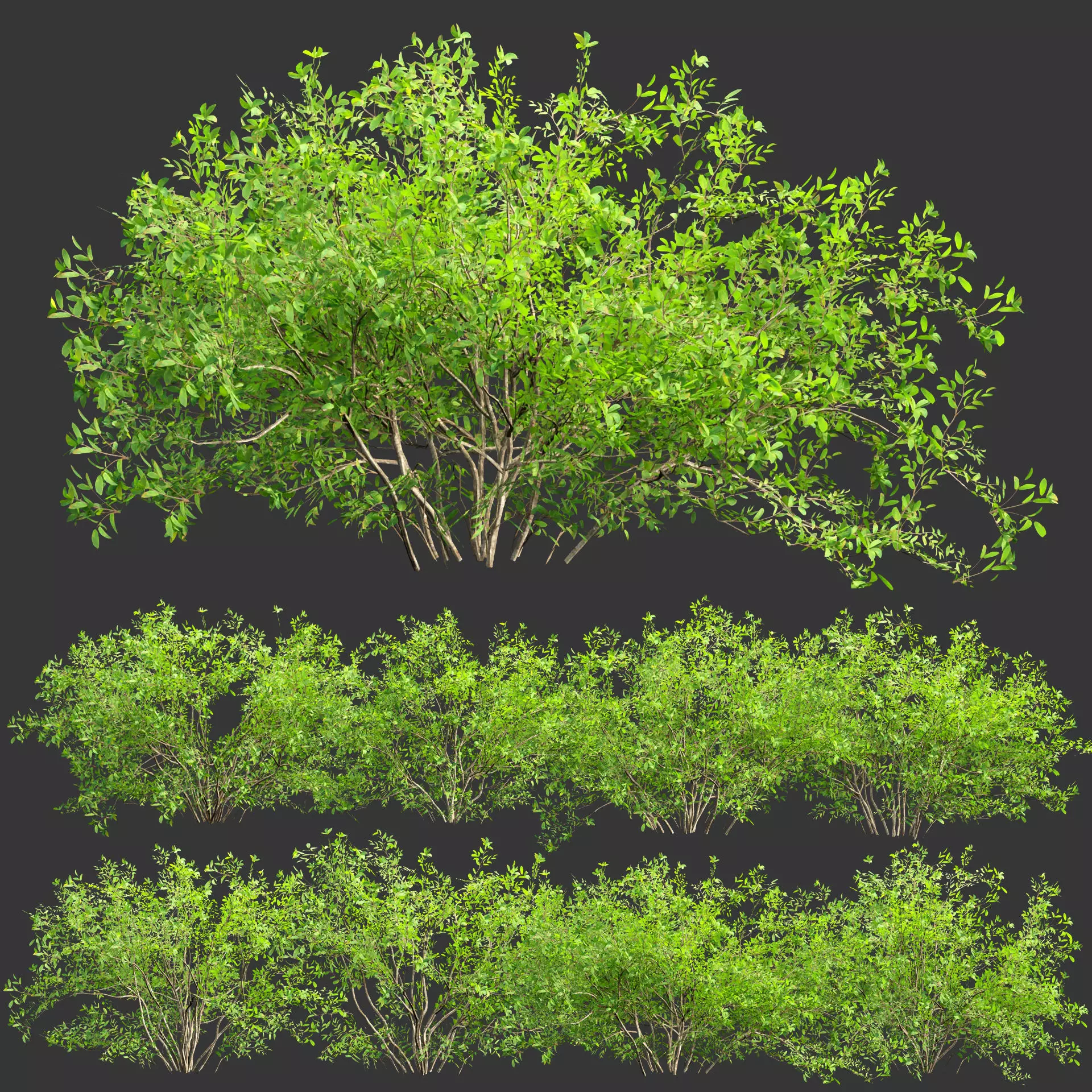 Low poly bushes collection vol 30 Low-poly 3D model_0