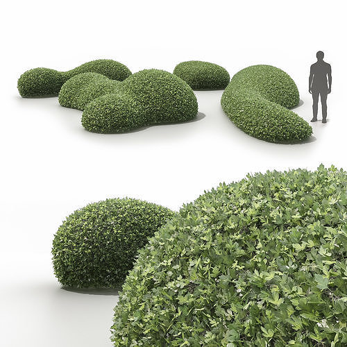 Topiary bushes 3D model