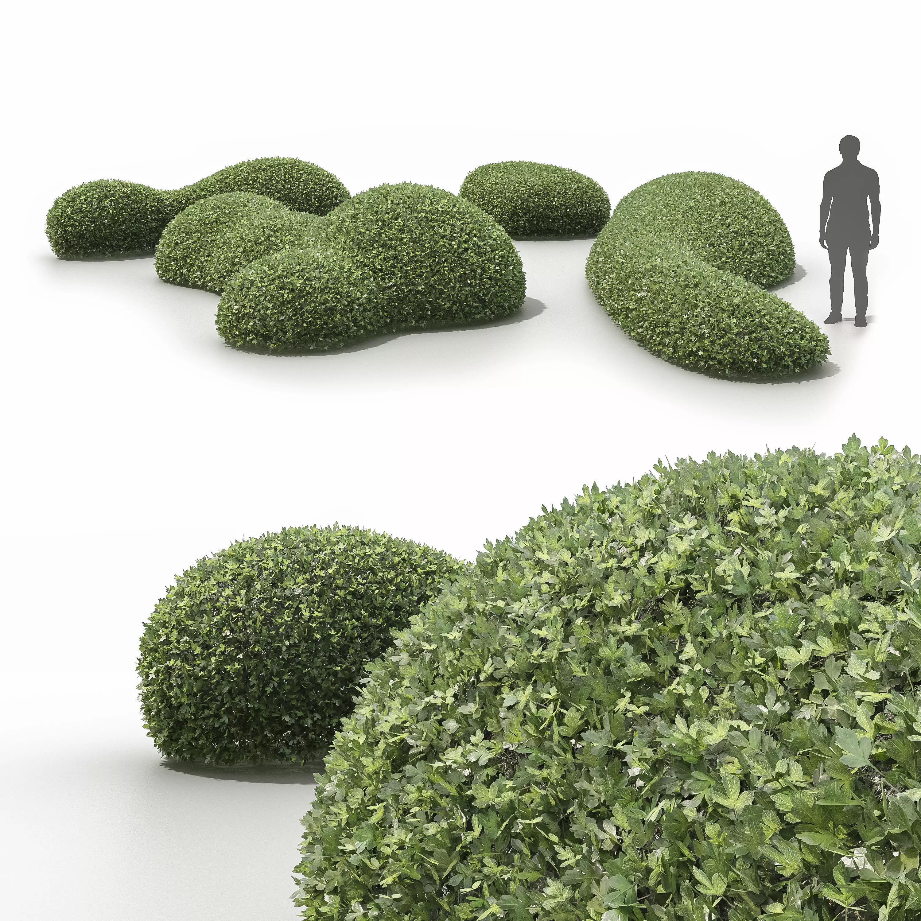 Topiary bushes 3D model
