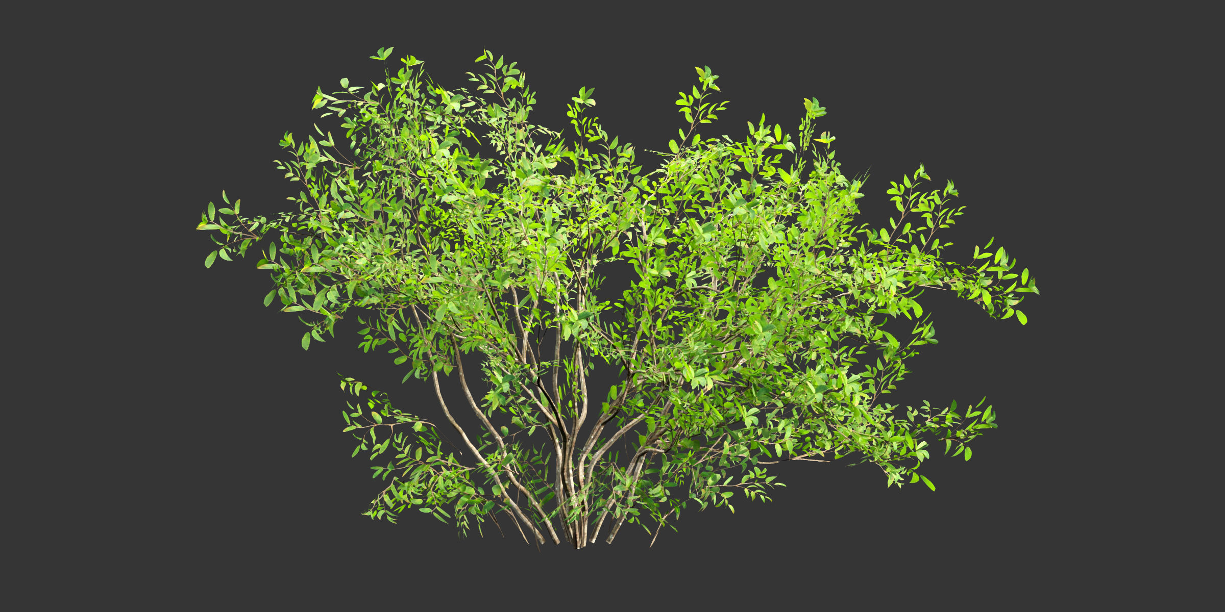 Low poly bushes collection vol 30-Blender Low-poly 3D model_3