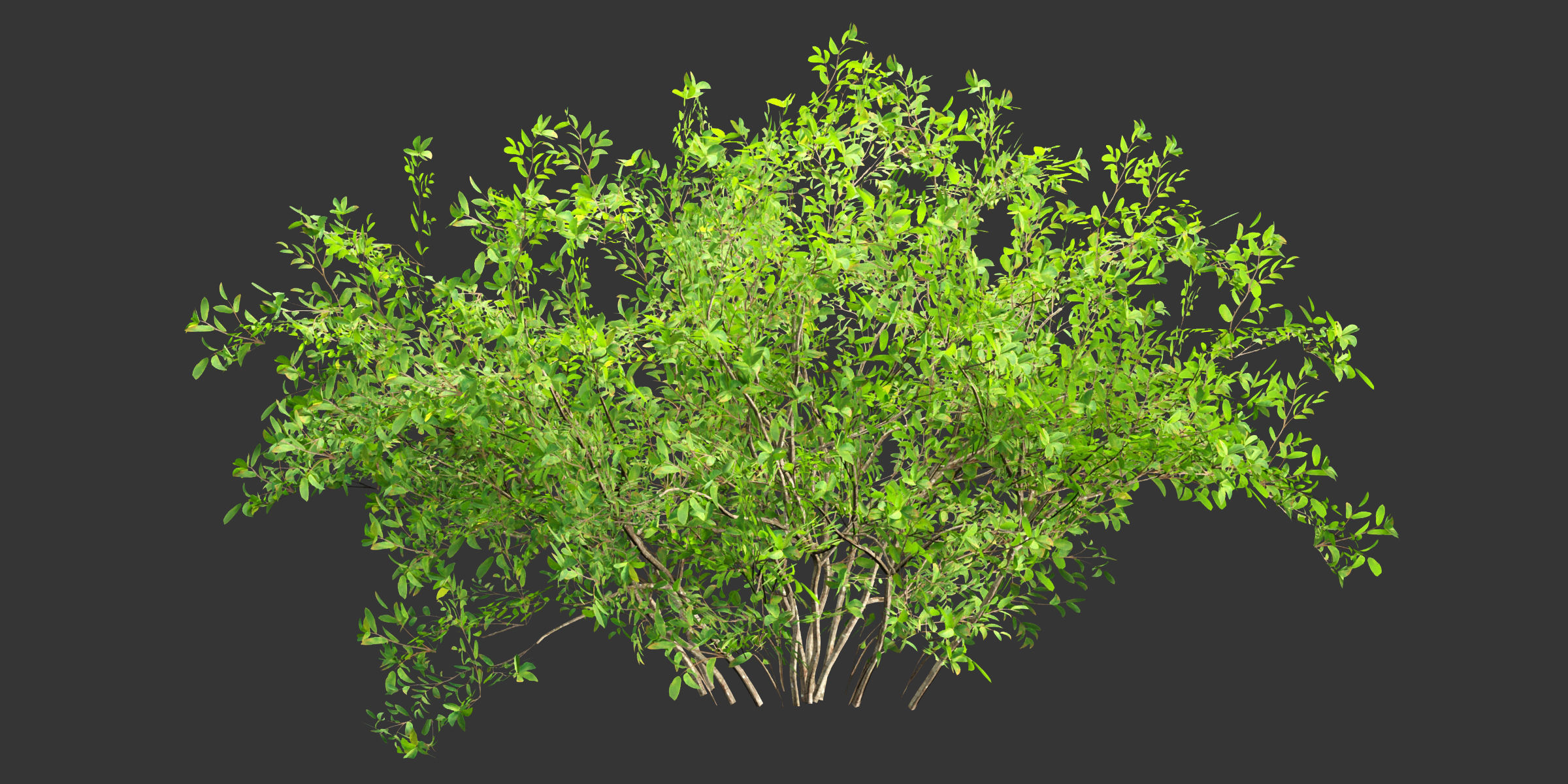 Low poly bushes collection vol 30-Blender Low-poly 3D model_7