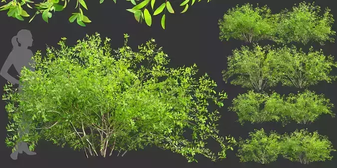 Low poly bushes collection vol 30-Blender Low-poly 3D model