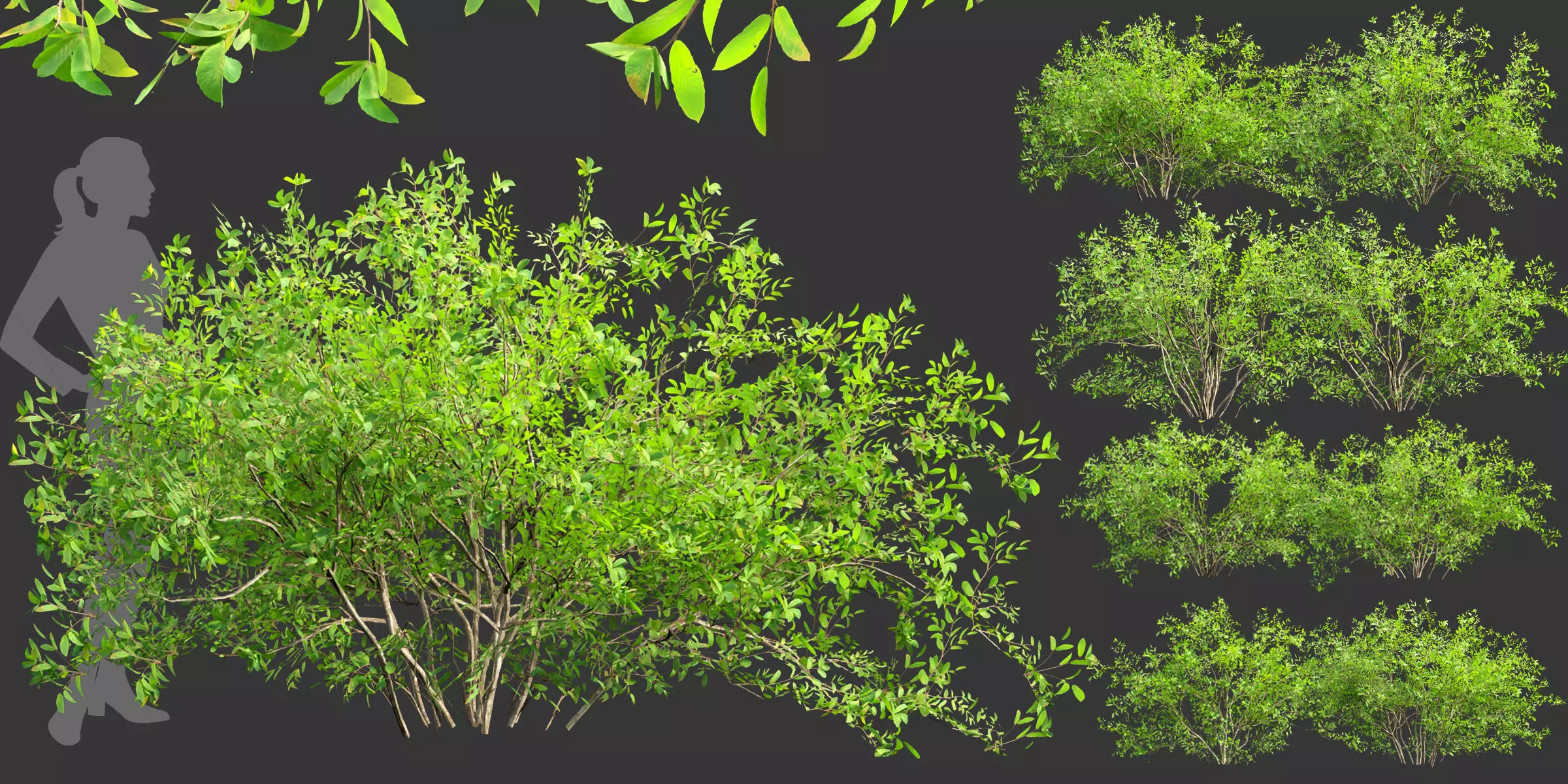 Low poly bushes collection vol 30-Blender Low-poly 3D model_0