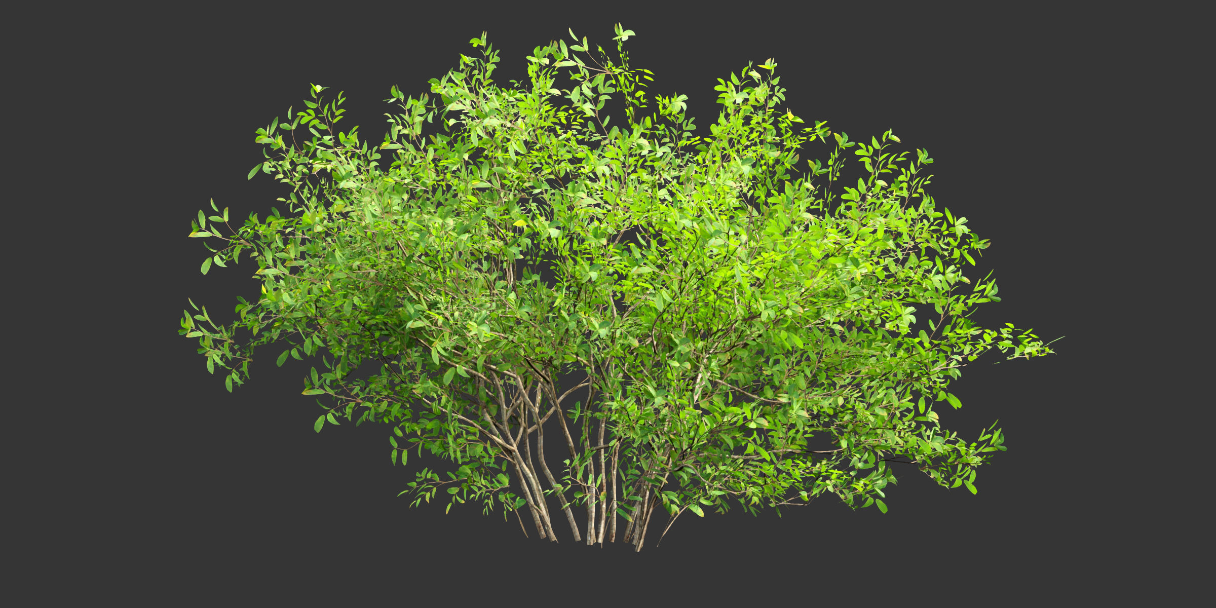 Low poly bushes collection vol 30-Blender Low-poly 3D model_6