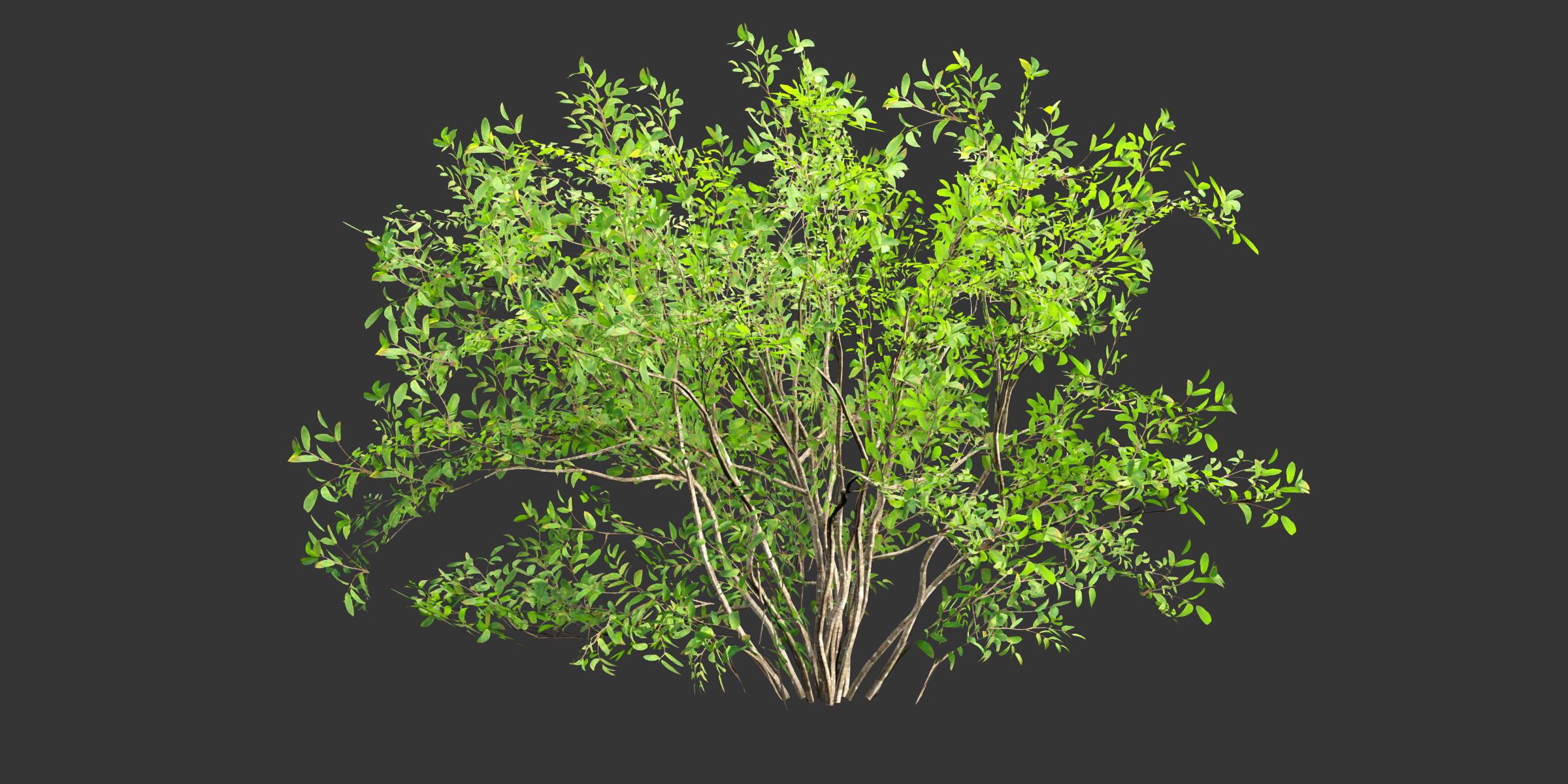 Low poly bushes collection vol 30-Blender Low-poly 3D model_4