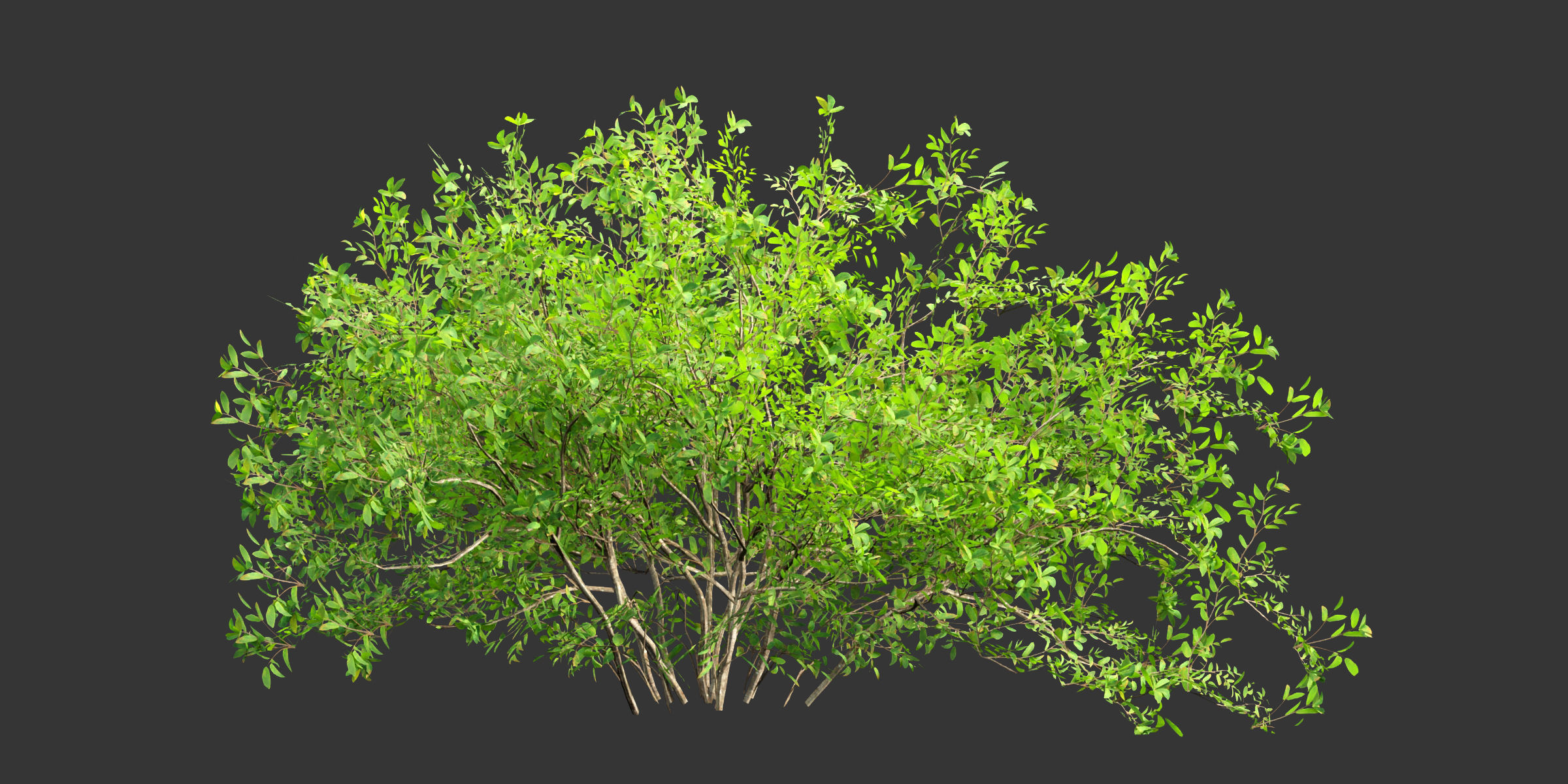 Low poly bushes collection vol 30-Blender Low-poly 3D model_8
