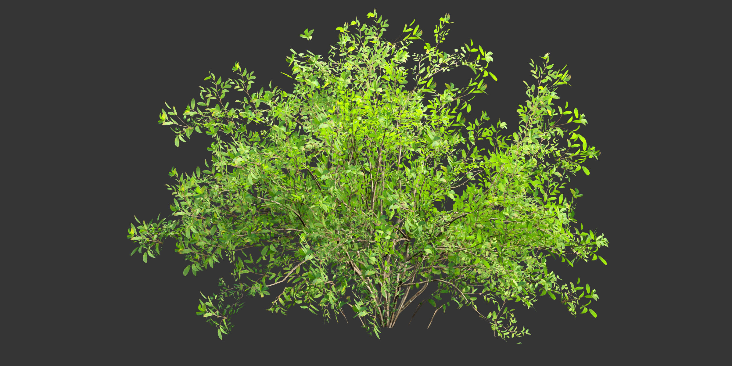 Low poly bushes collection vol 30-Blender Low-poly 3D model_5