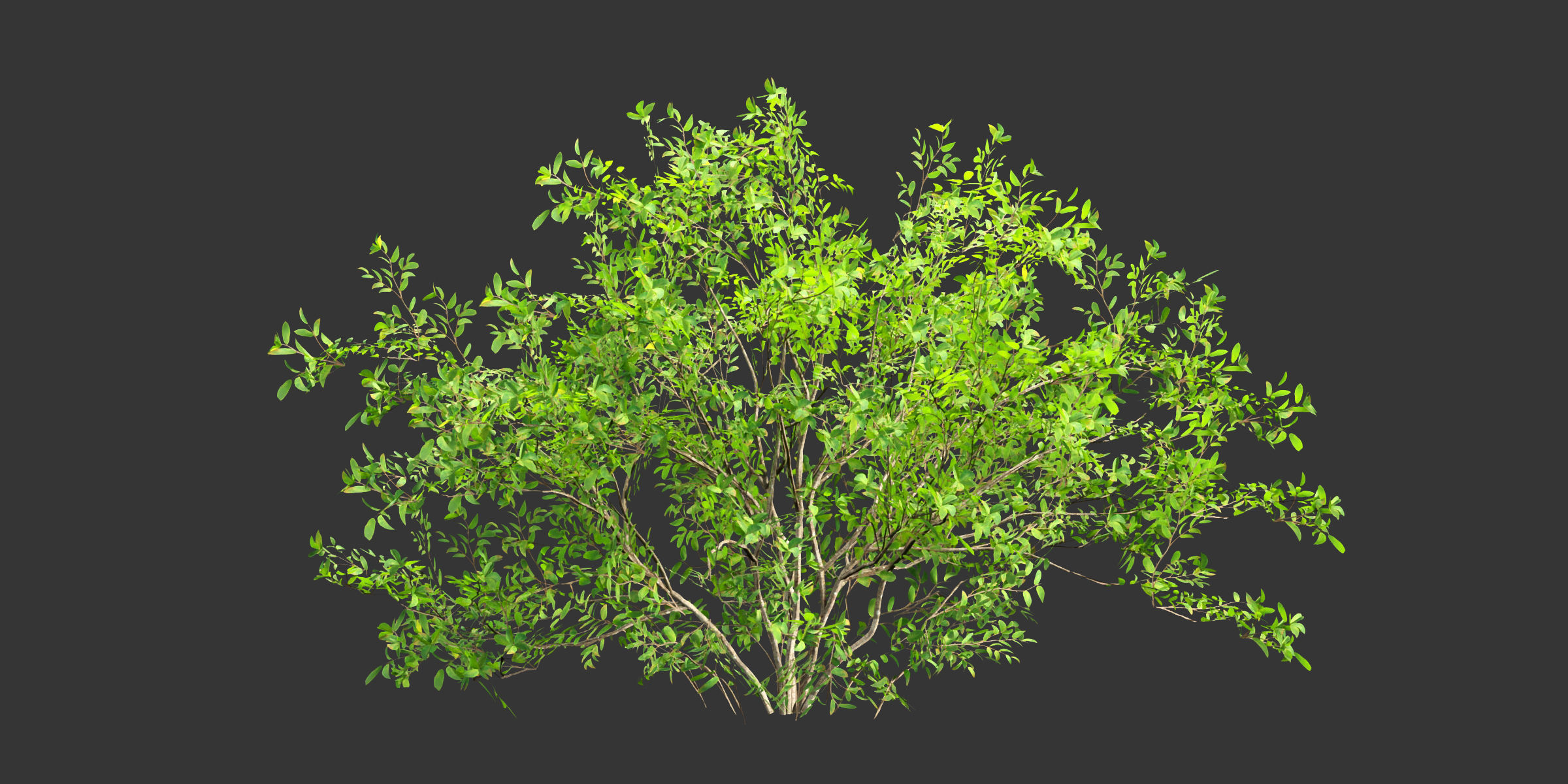 Low poly bushes collection vol 30-Blender Low-poly 3D model_9