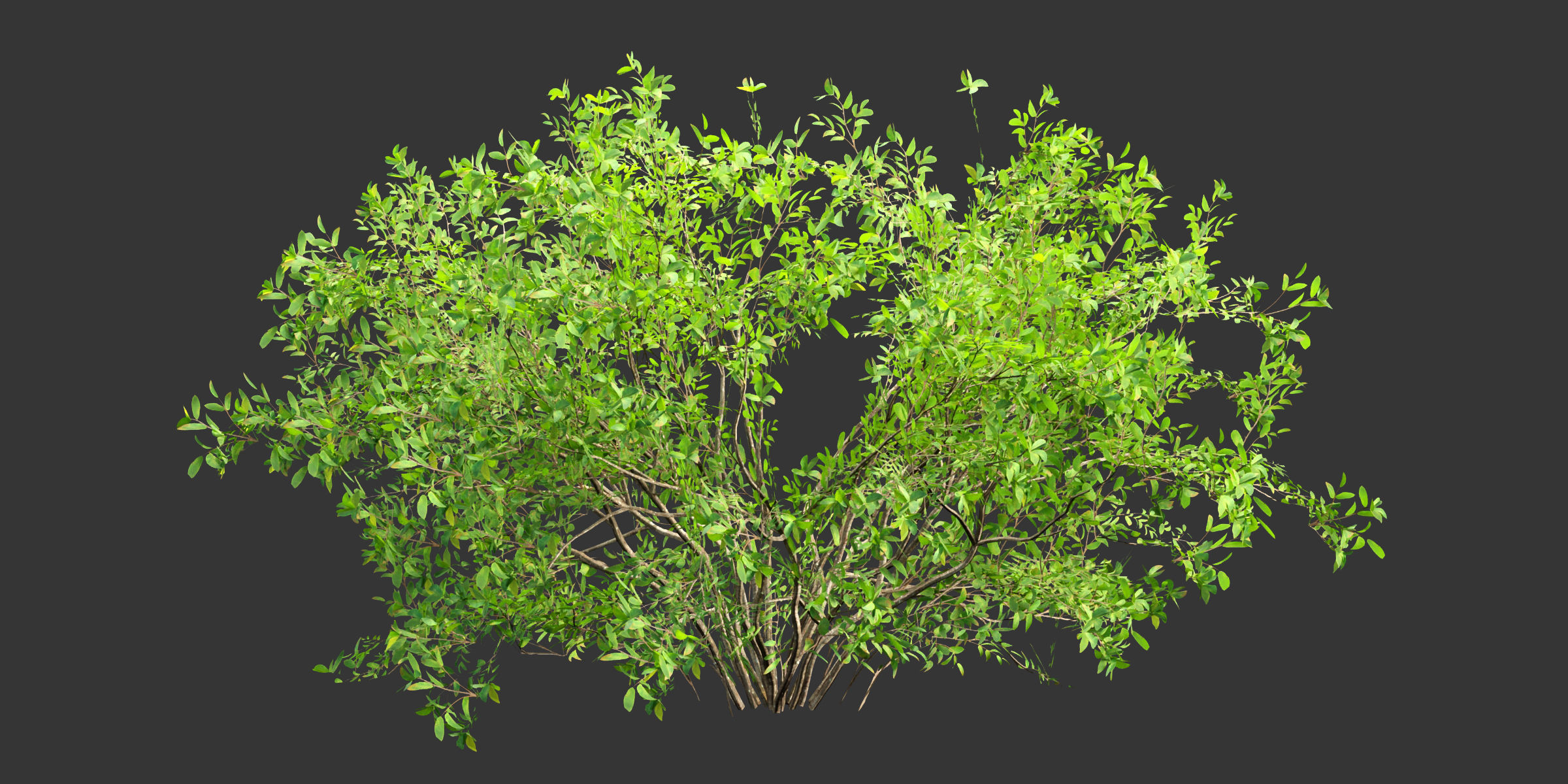 Low poly bushes collection vol 30-Blender Low-poly 3D model_2